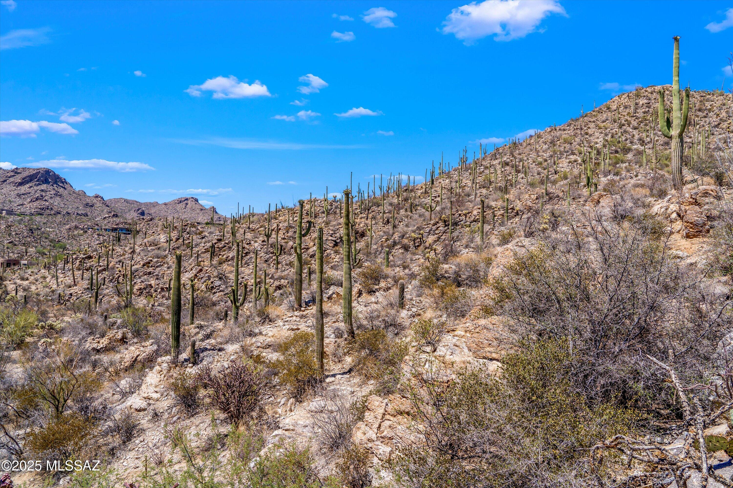 Saguaro Ranch (9-52) Blks. 1-4 - Land