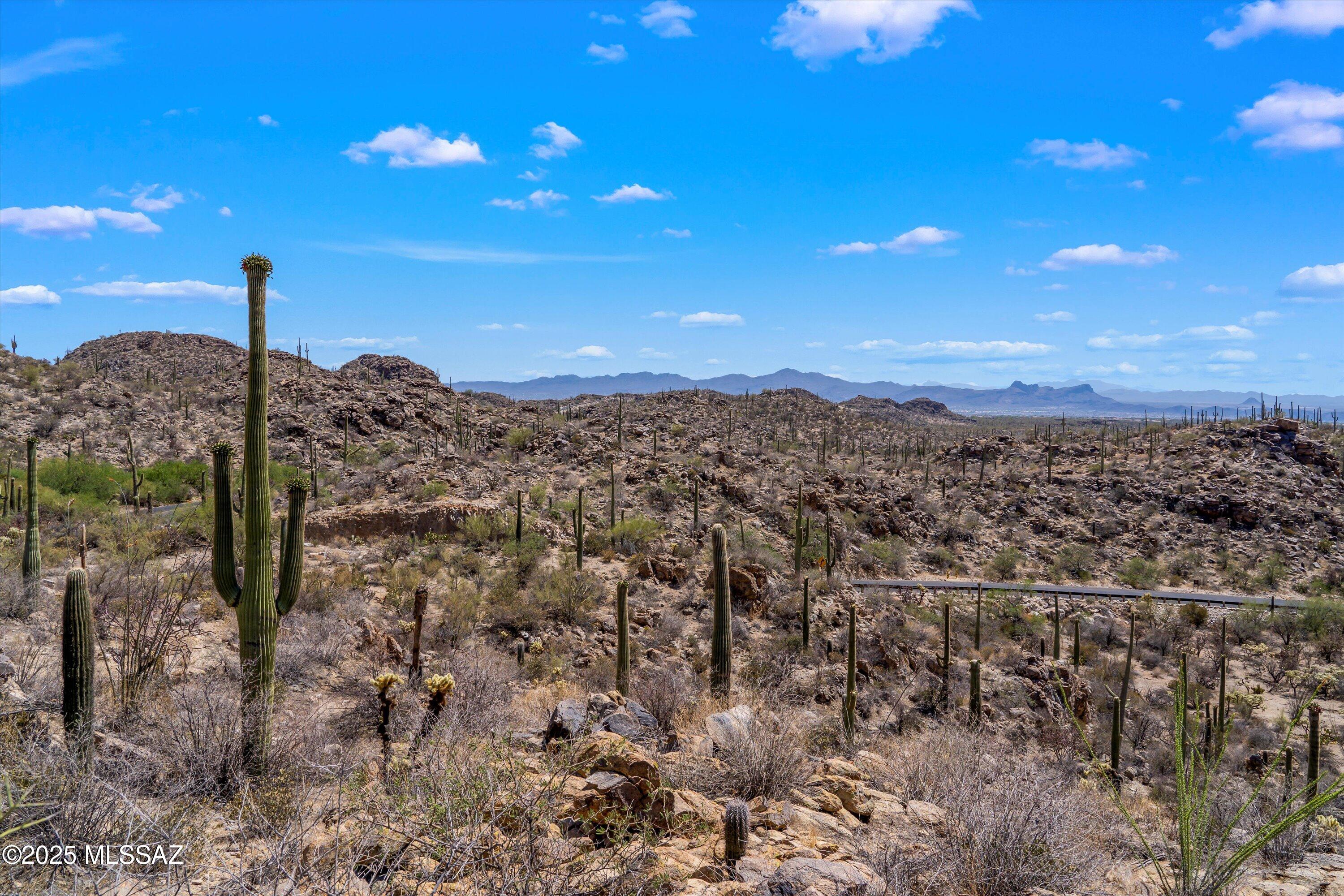 13960 N Jims Deadend Place 33