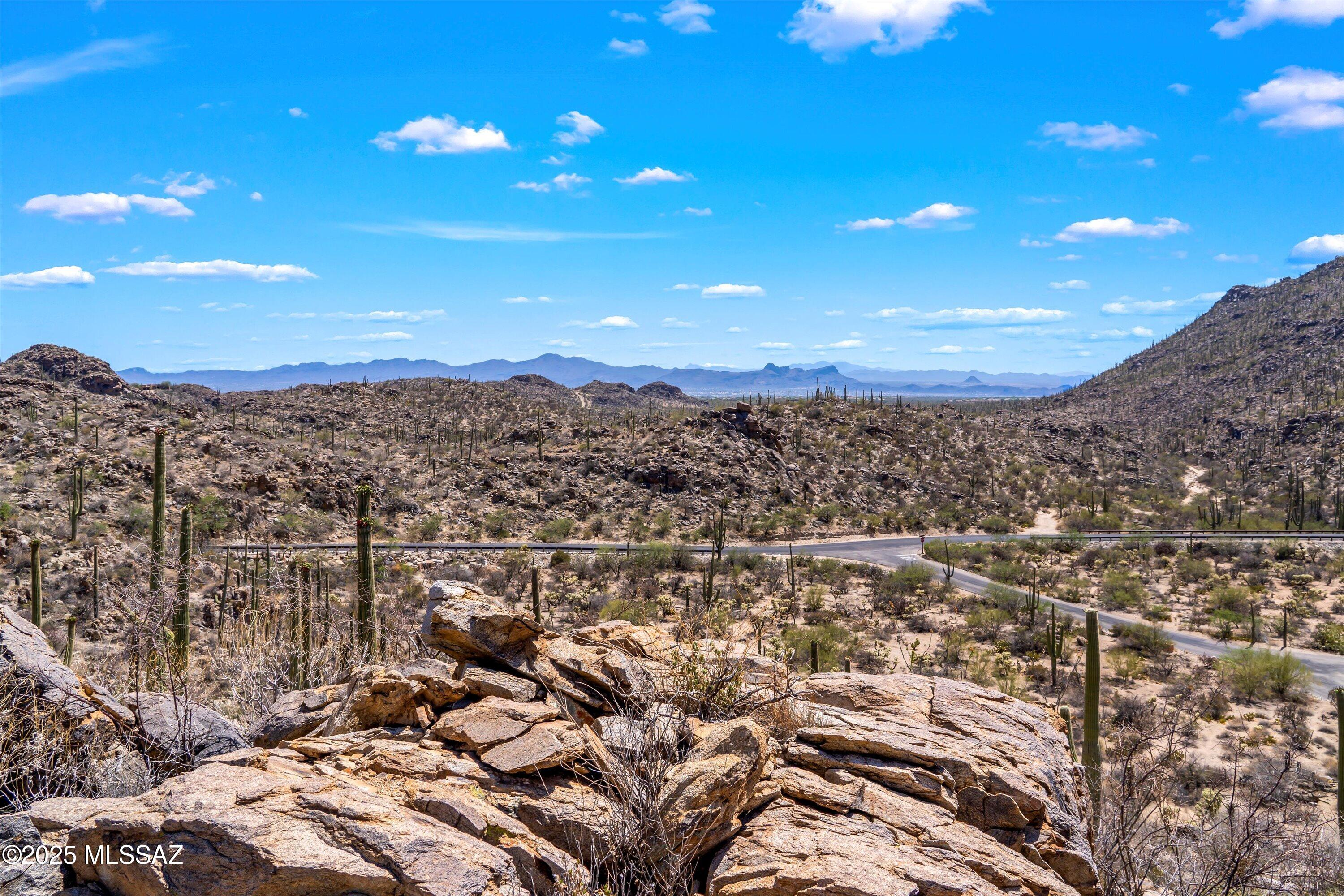 Saguaro Ranch (9-52) Blks. 1-4 - Land