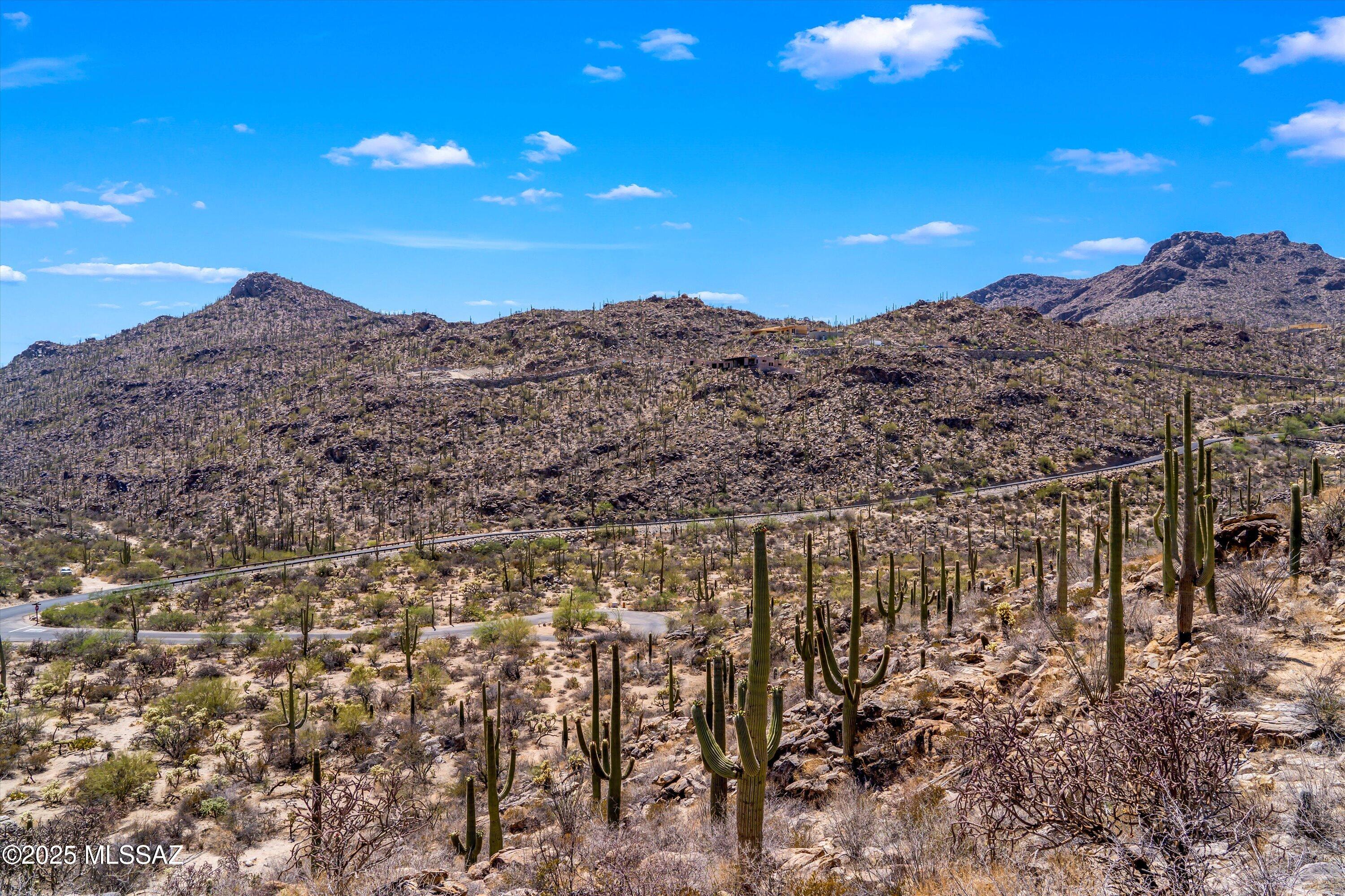 Saguaro Ranch (9-52) Blks. 1-4 - Land
