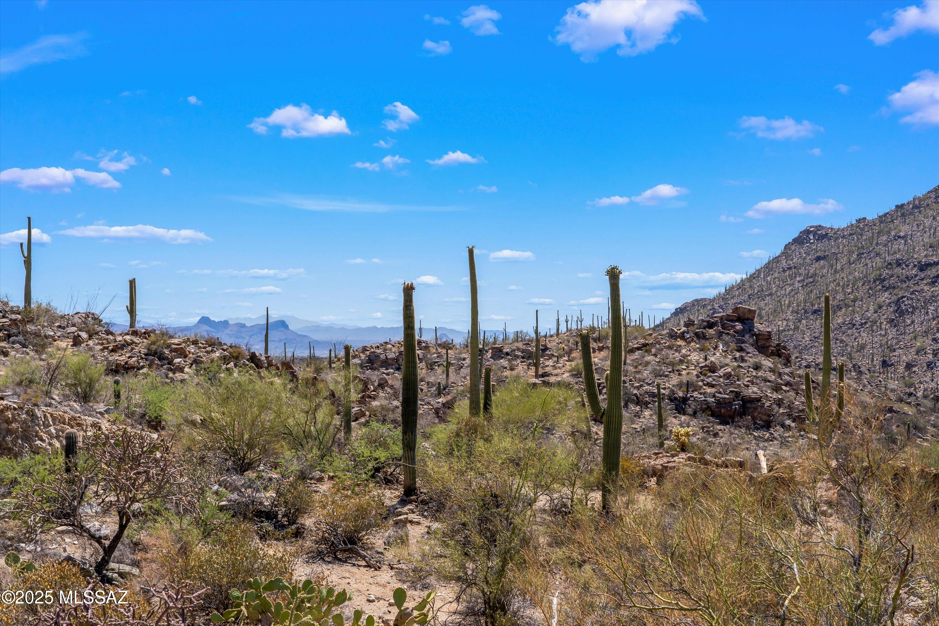 13960 N Jims Deadend Place 33