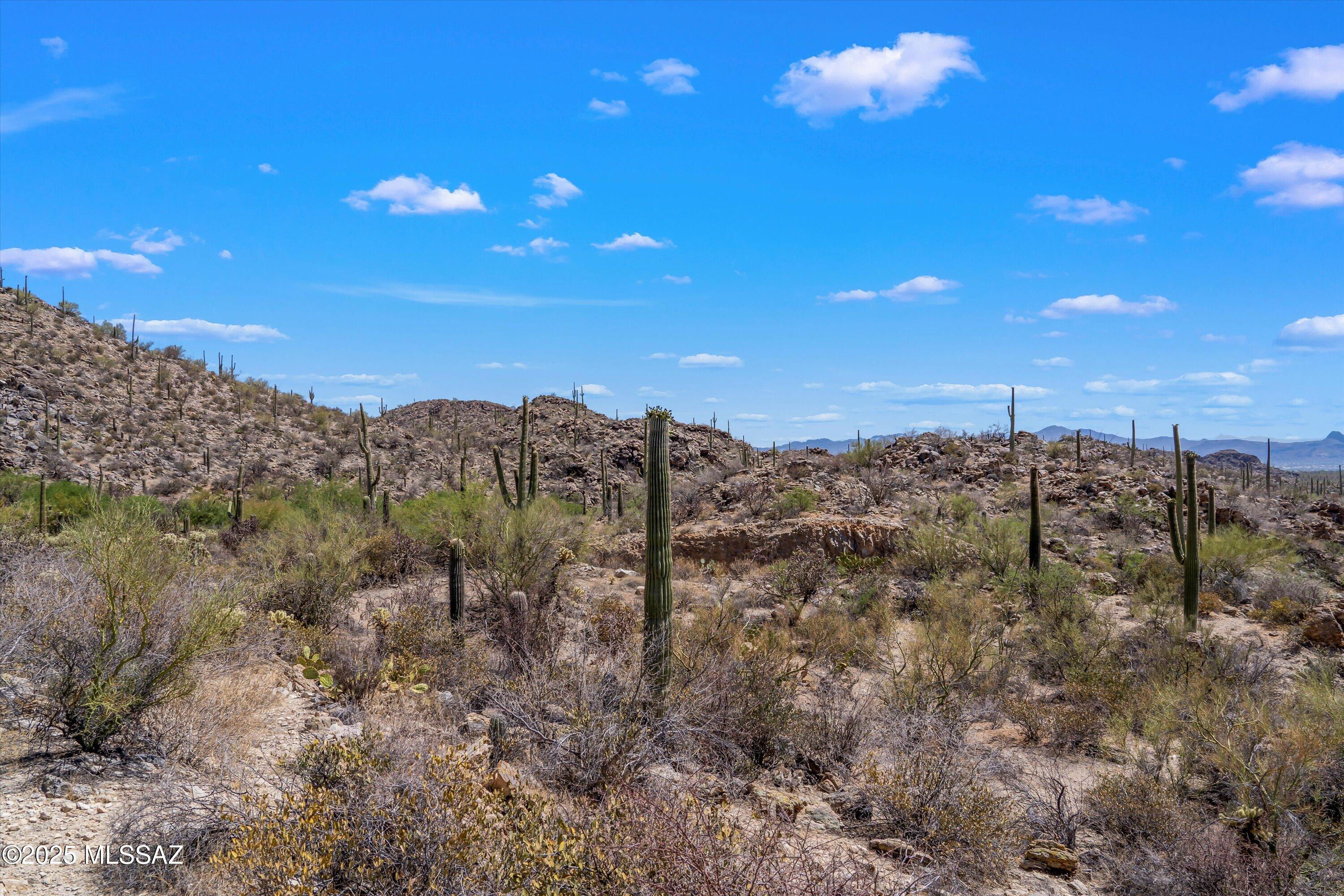 Saguaro Ranch (9-52) Blks. 1-4 - Land
