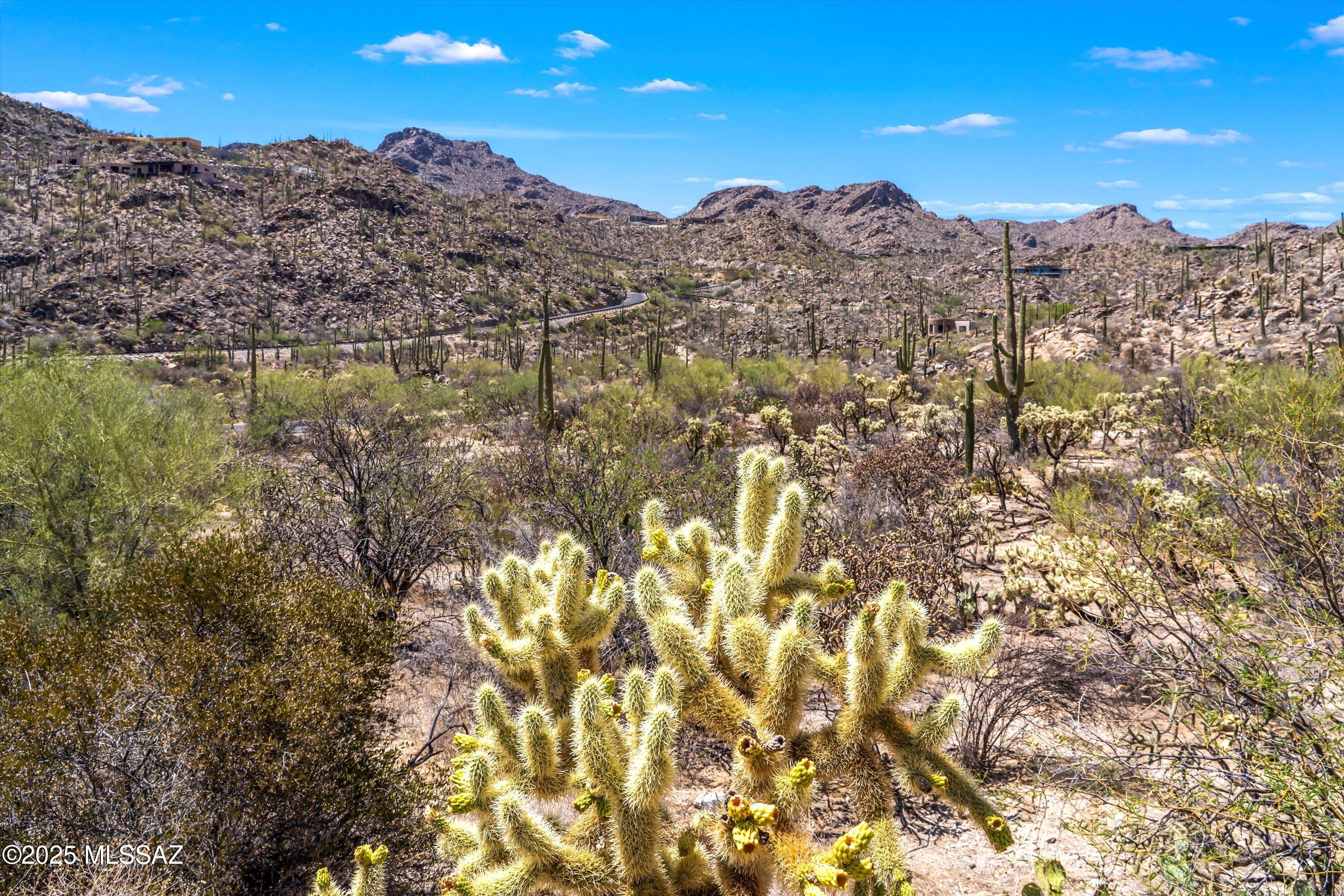 Saguaro Ranch (9-52) Blks. 1-4 - Land