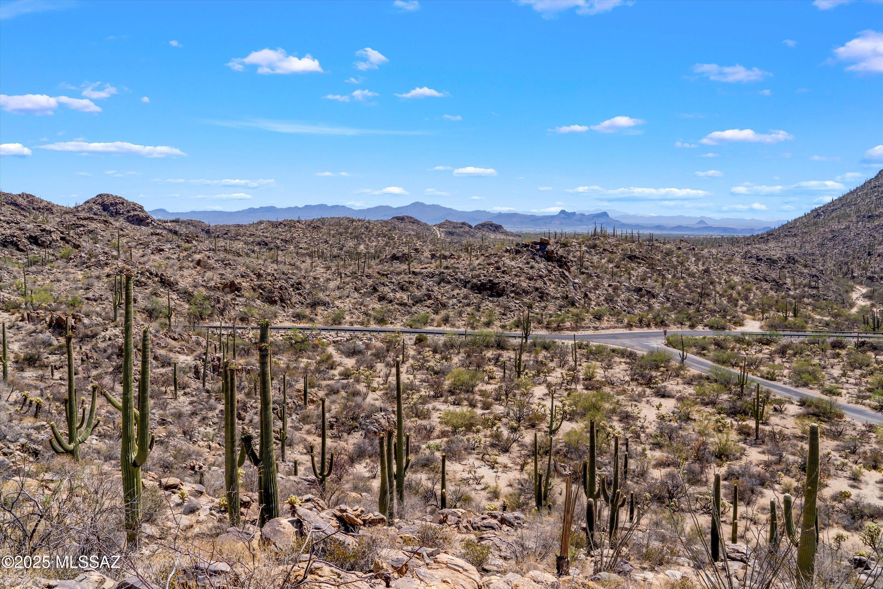 Saguaro Ranch (9-52) Blks. 1-4 - Land