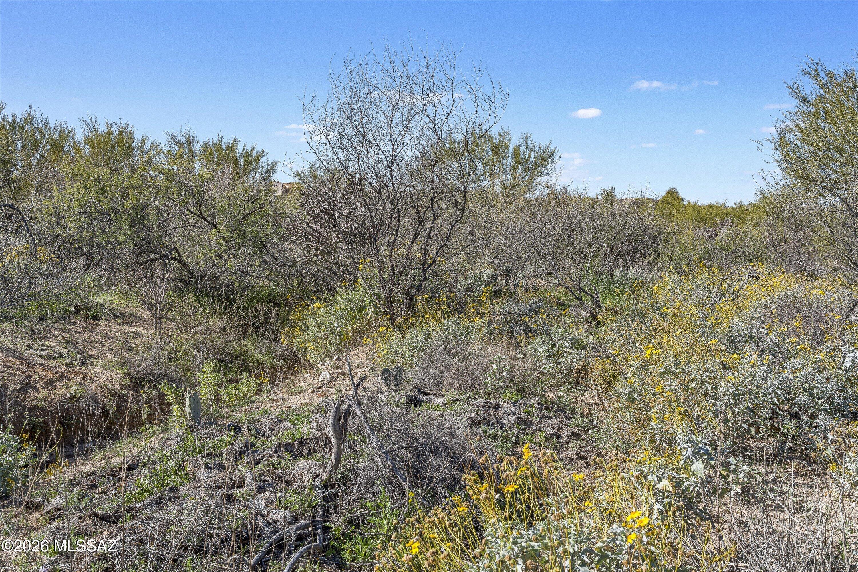 Coyote Creek (1-395) - Land