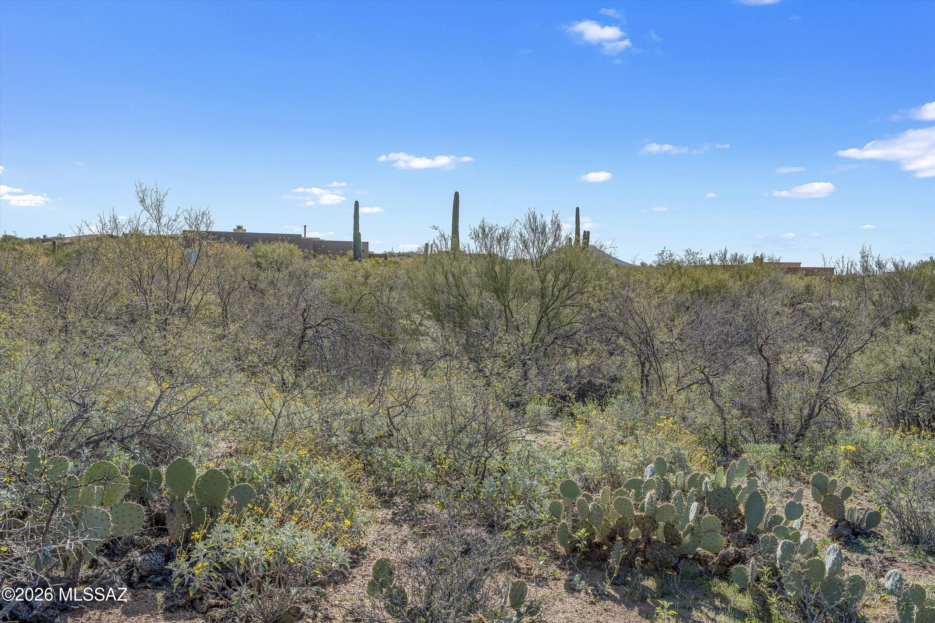 Coyote Creek (1-395) - Land
