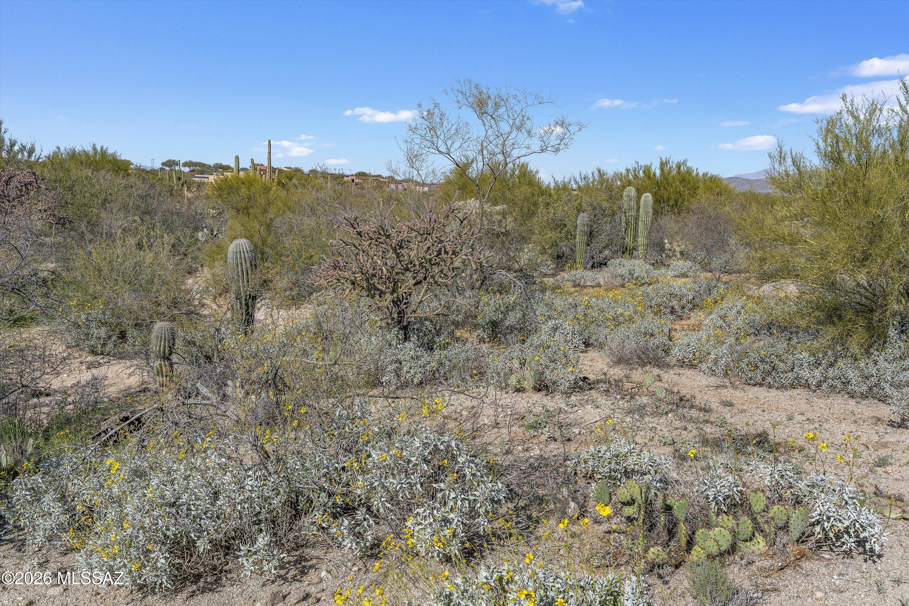Coyote Creek (1-395) - Land