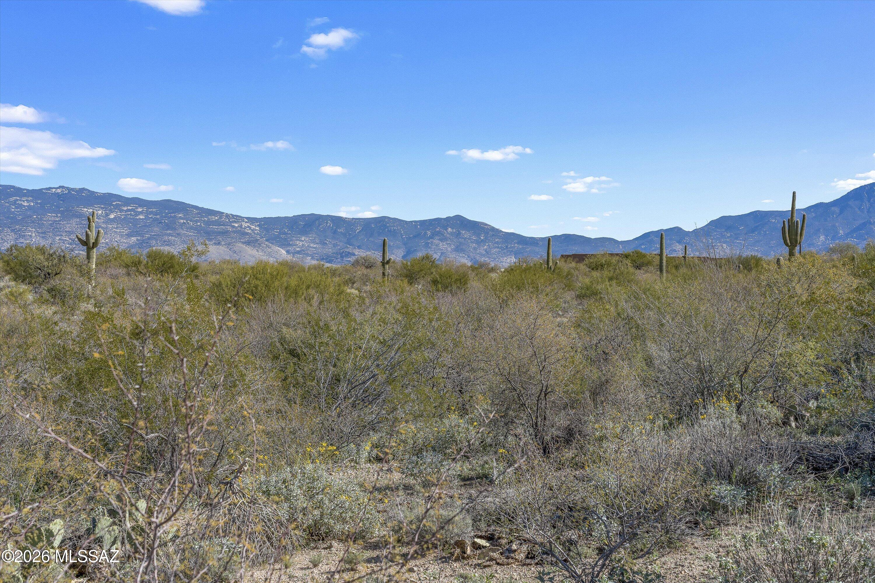 Coyote Creek (1-395) - Land