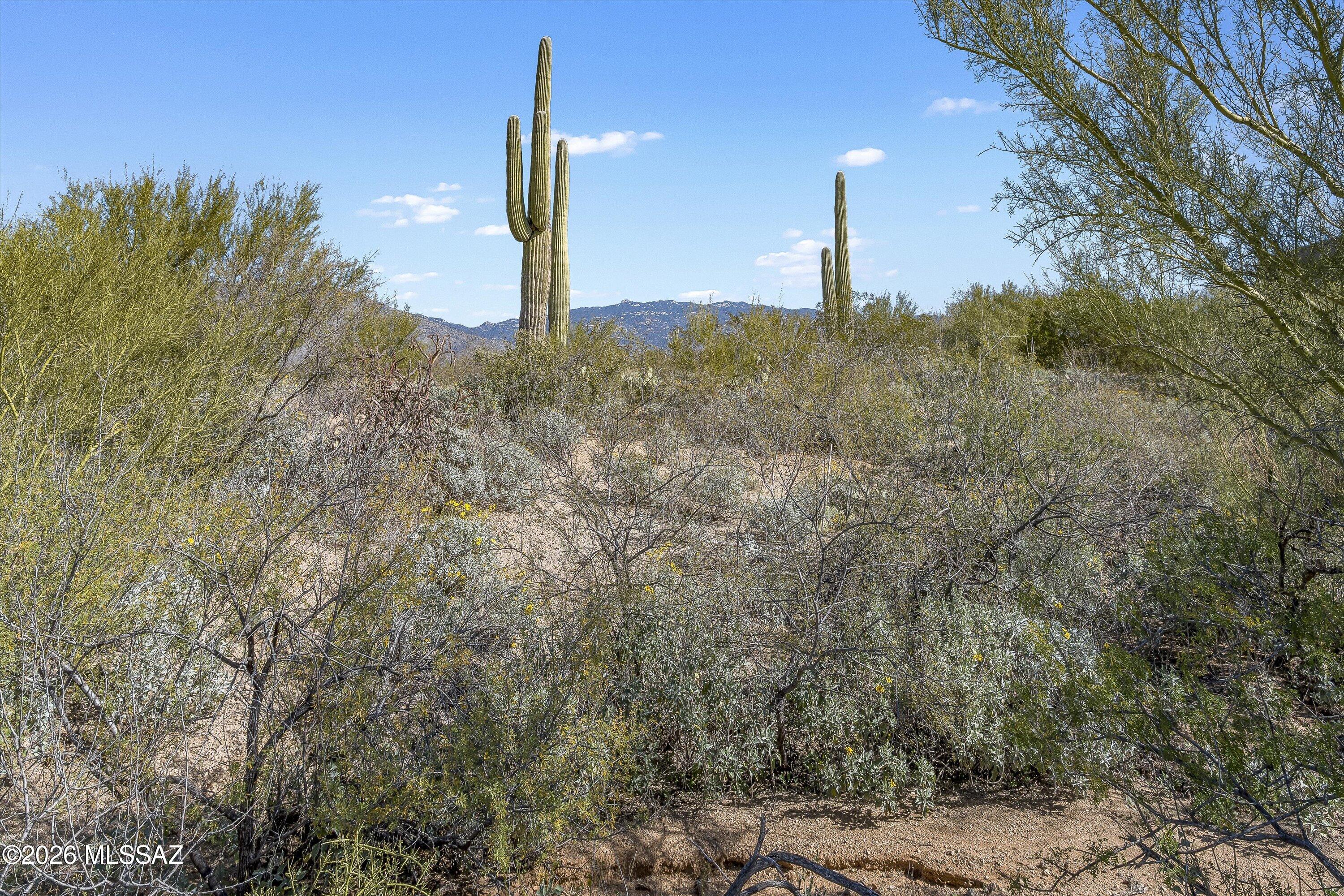 Coyote Creek (1-395) - Land