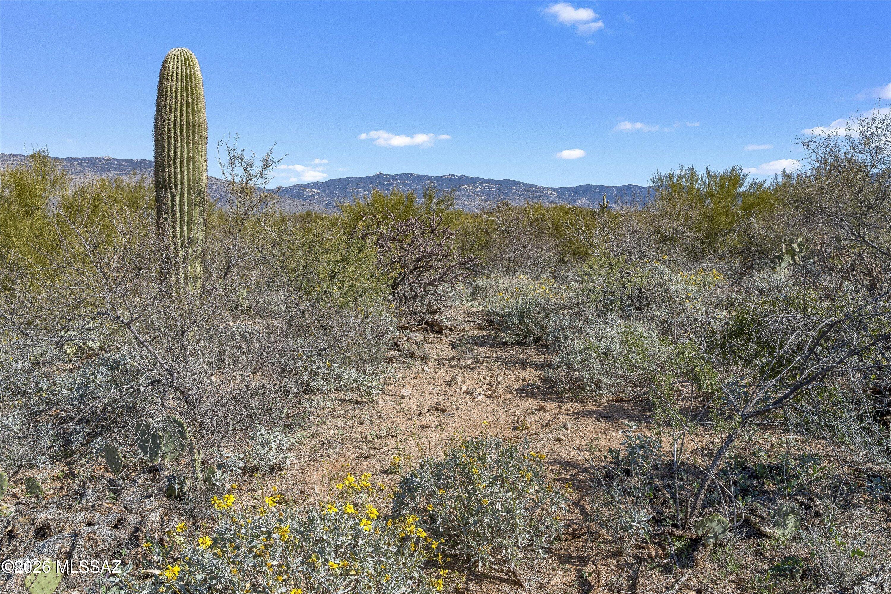 Coyote Creek (1-395) - Land