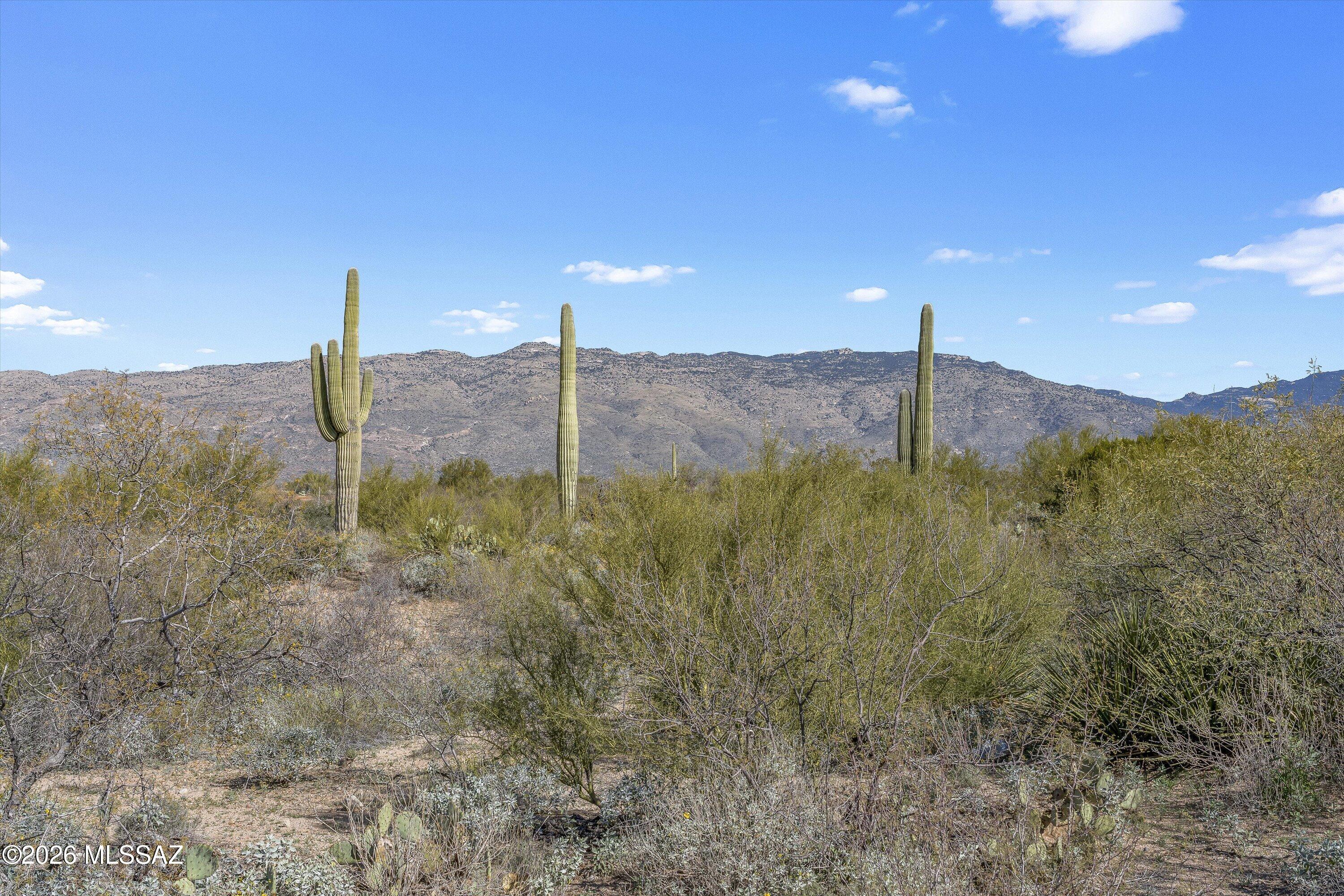 Coyote Creek (1-395) - Land