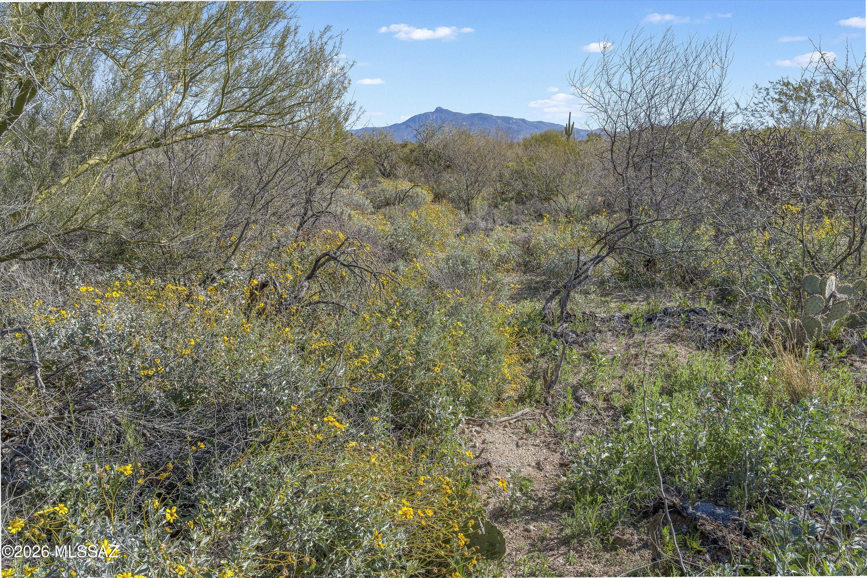 Coyote Creek (1-395) - Land