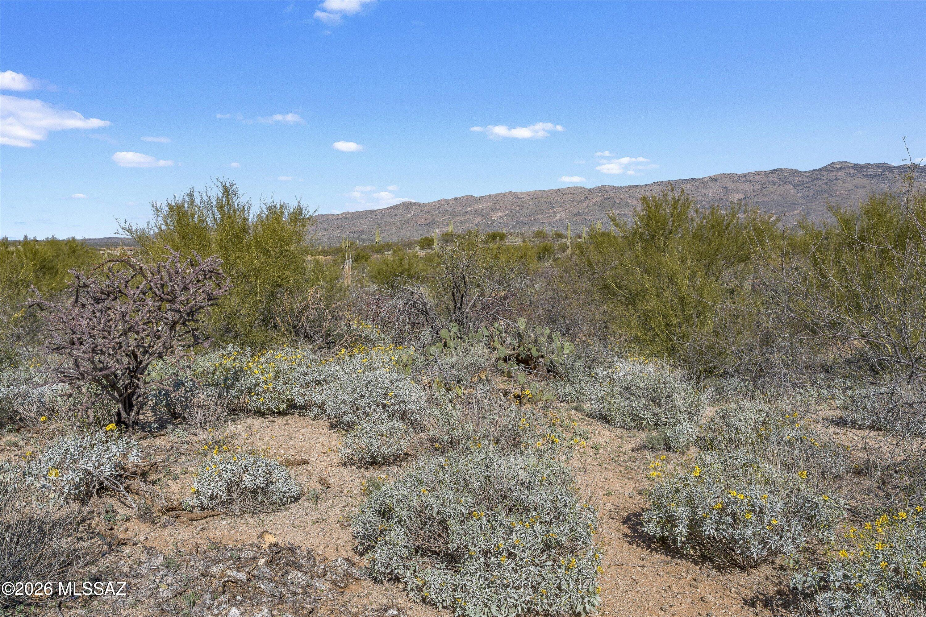 Coyote Creek (1-395) - Land