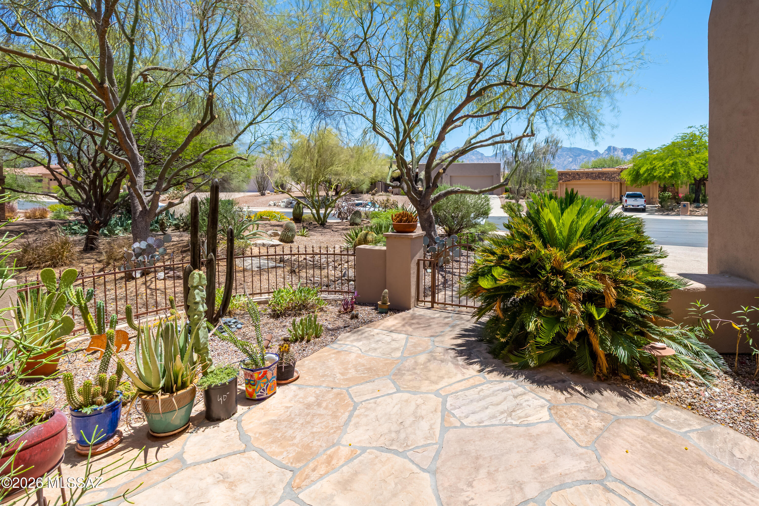 13811 N Javelina Springs Place