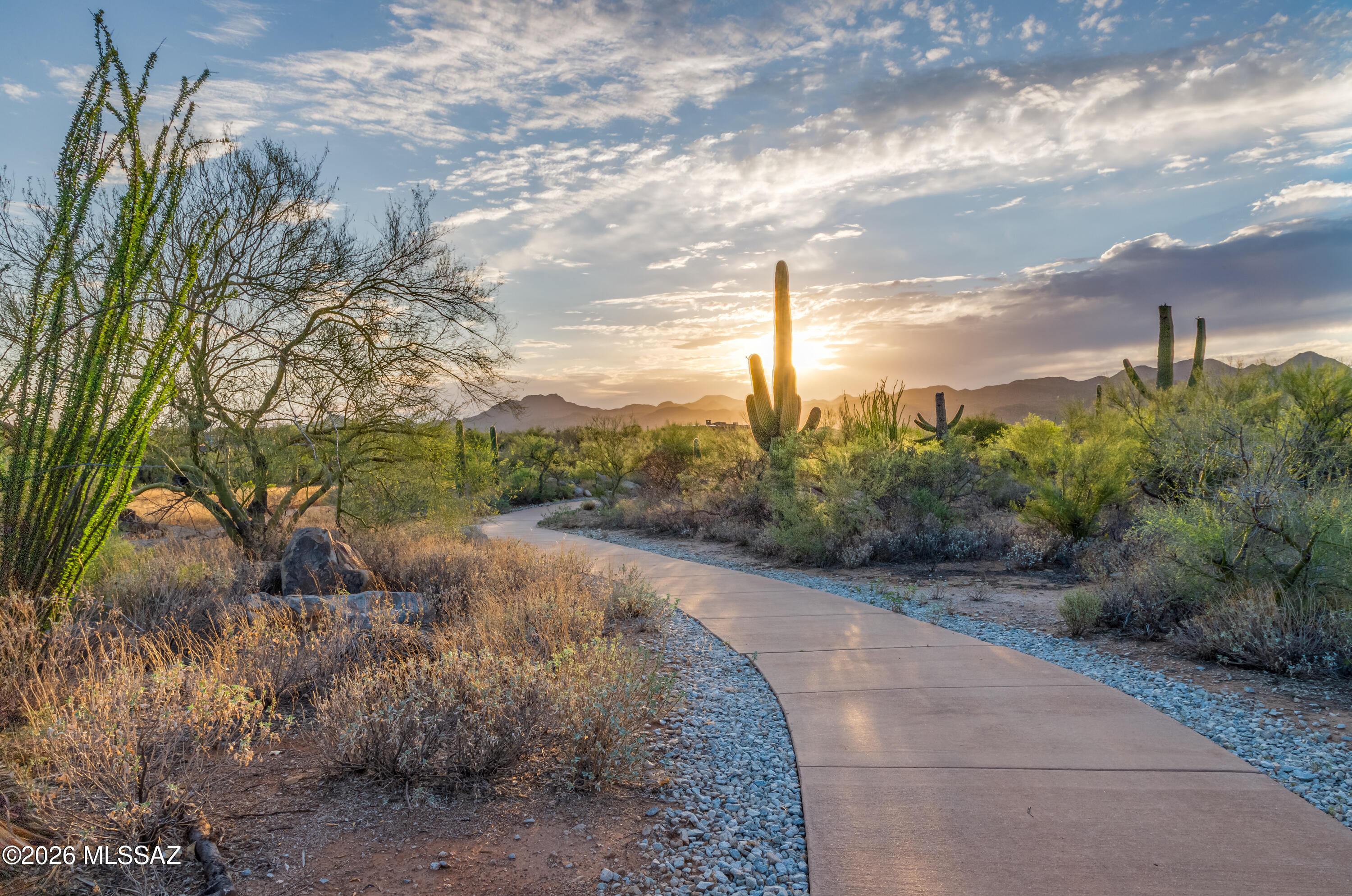 13811 N Javelina Springs Place