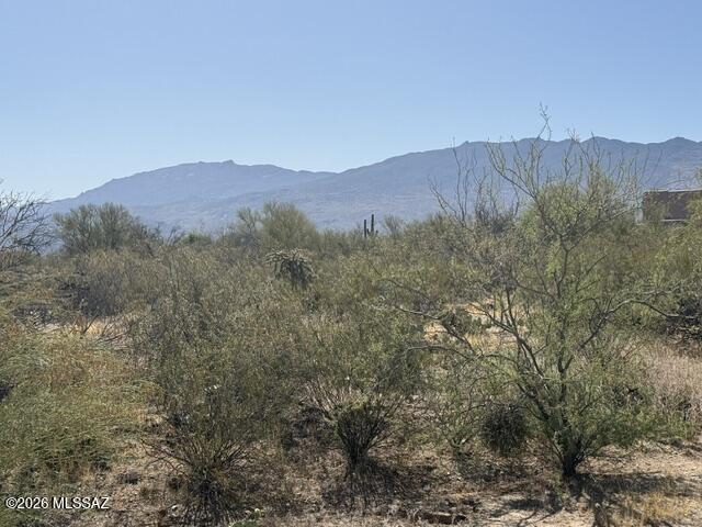 830 N Tanque Verde Loop Road 8