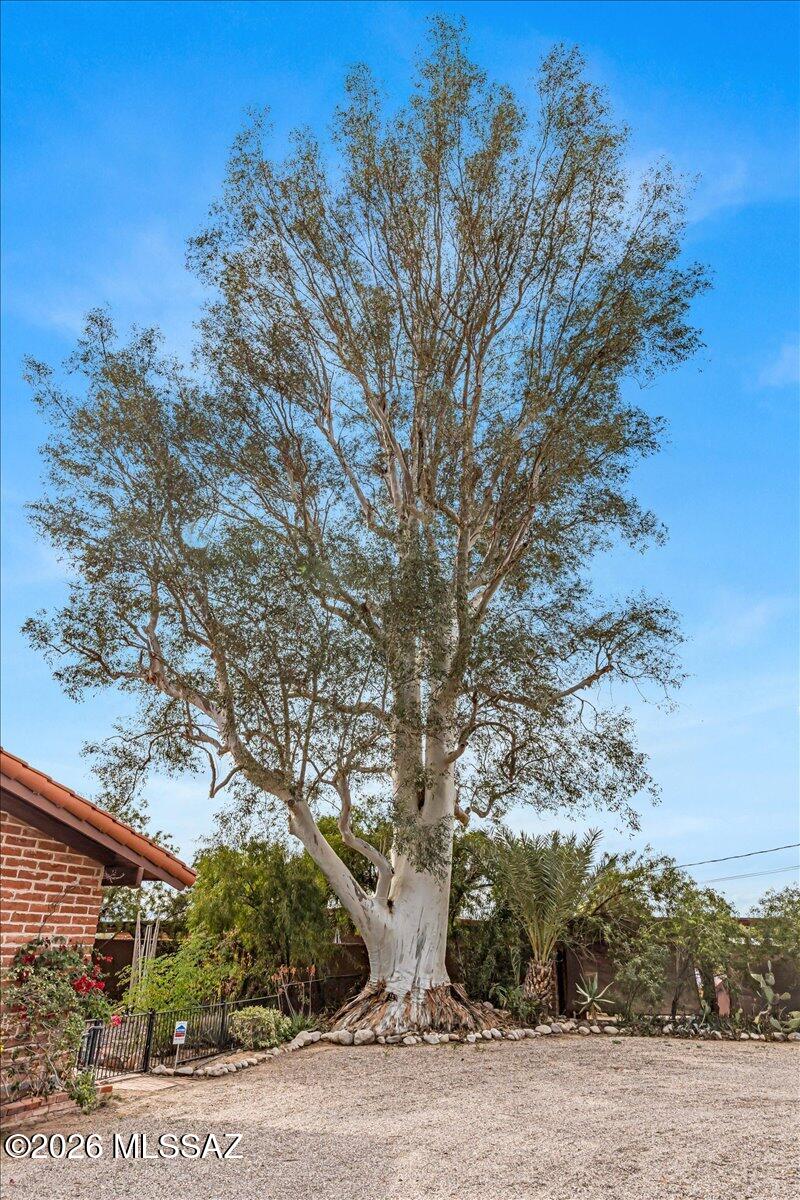 Oracle Foothills Estates NO. 1 - Residential