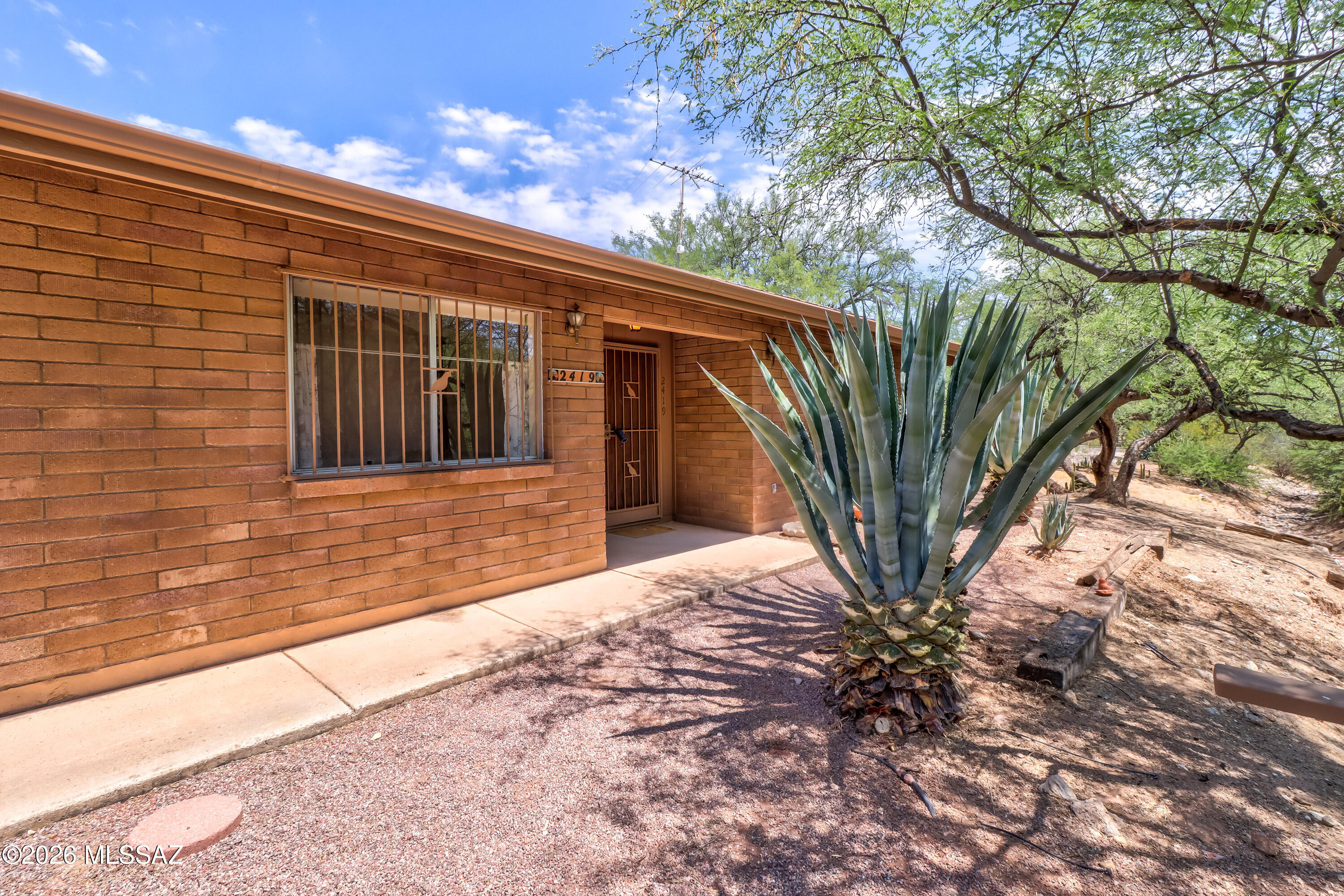 2419 N Shade Tree Lane