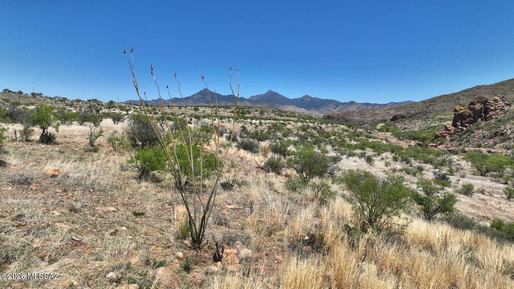 Tubac Foothills Ranch - Land