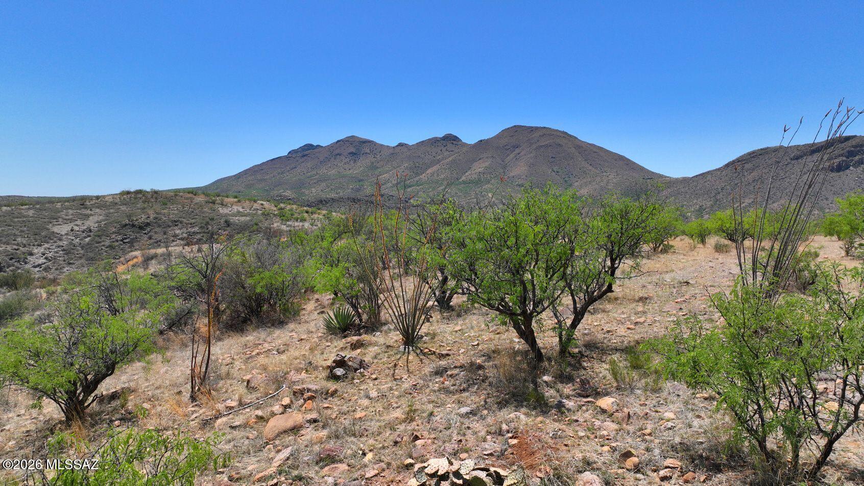 Tubac Foothills Ranch - Land