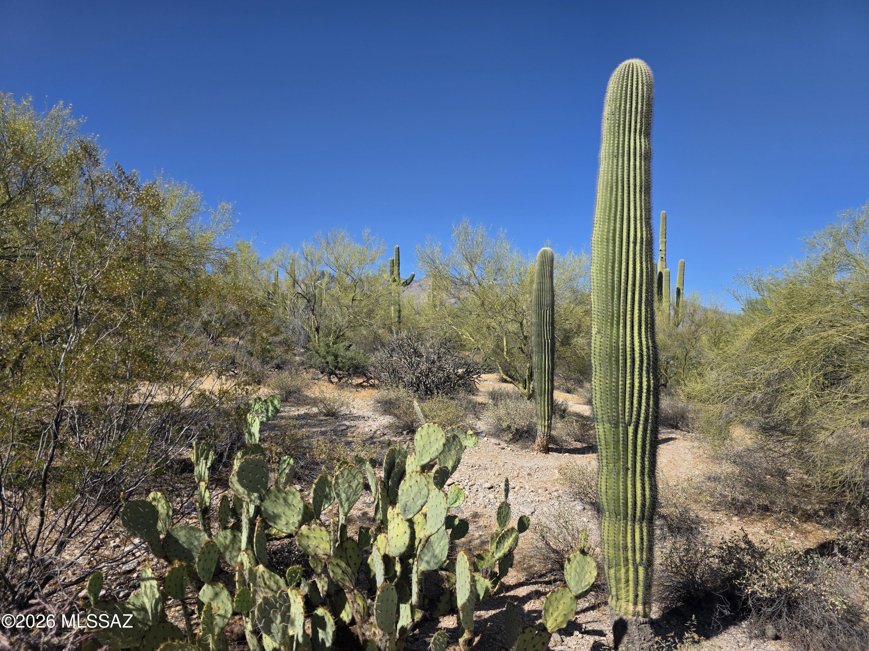 4675 N Camino Ocotillo 221