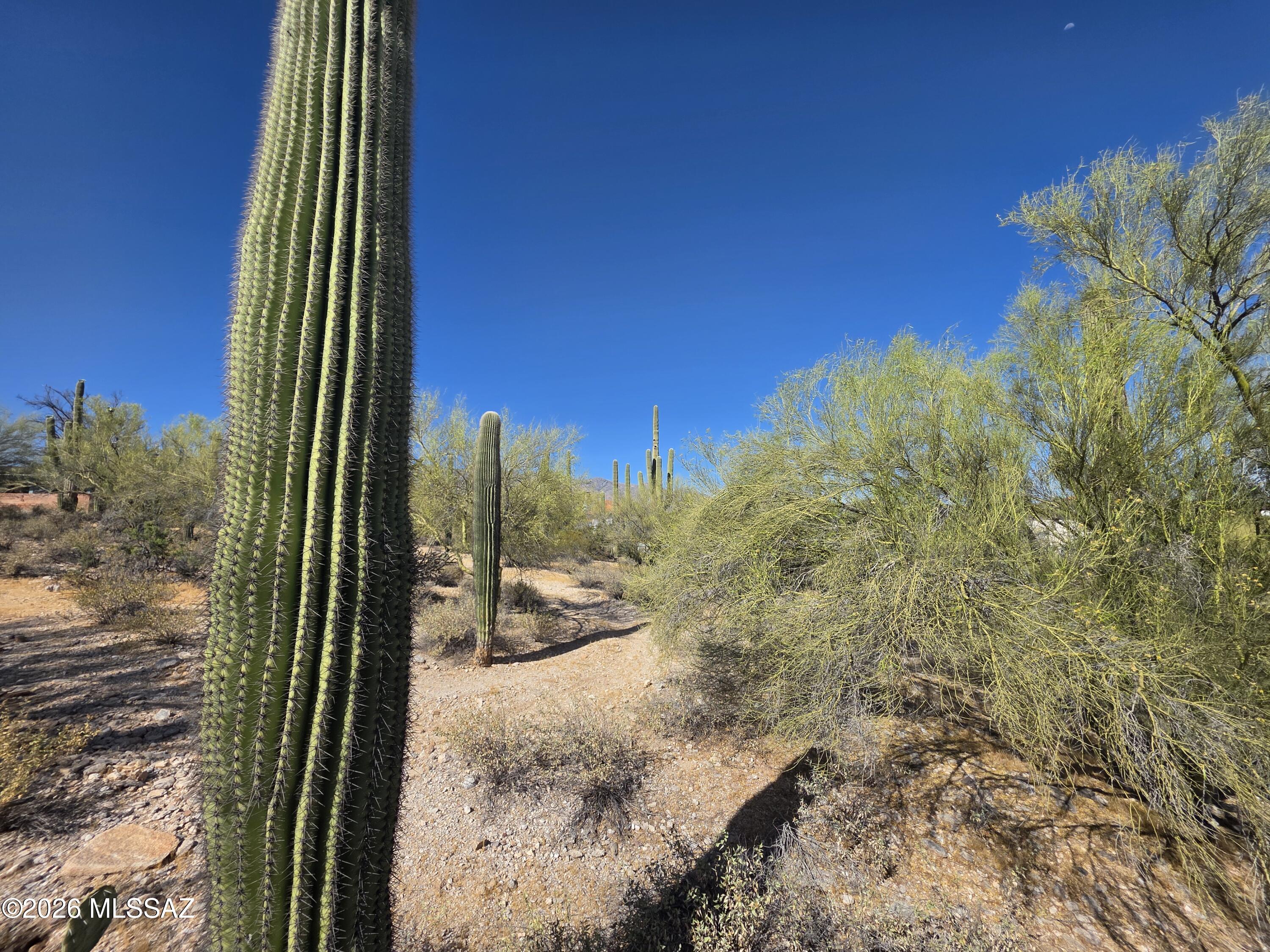 4675 N Camino Ocotillo 221