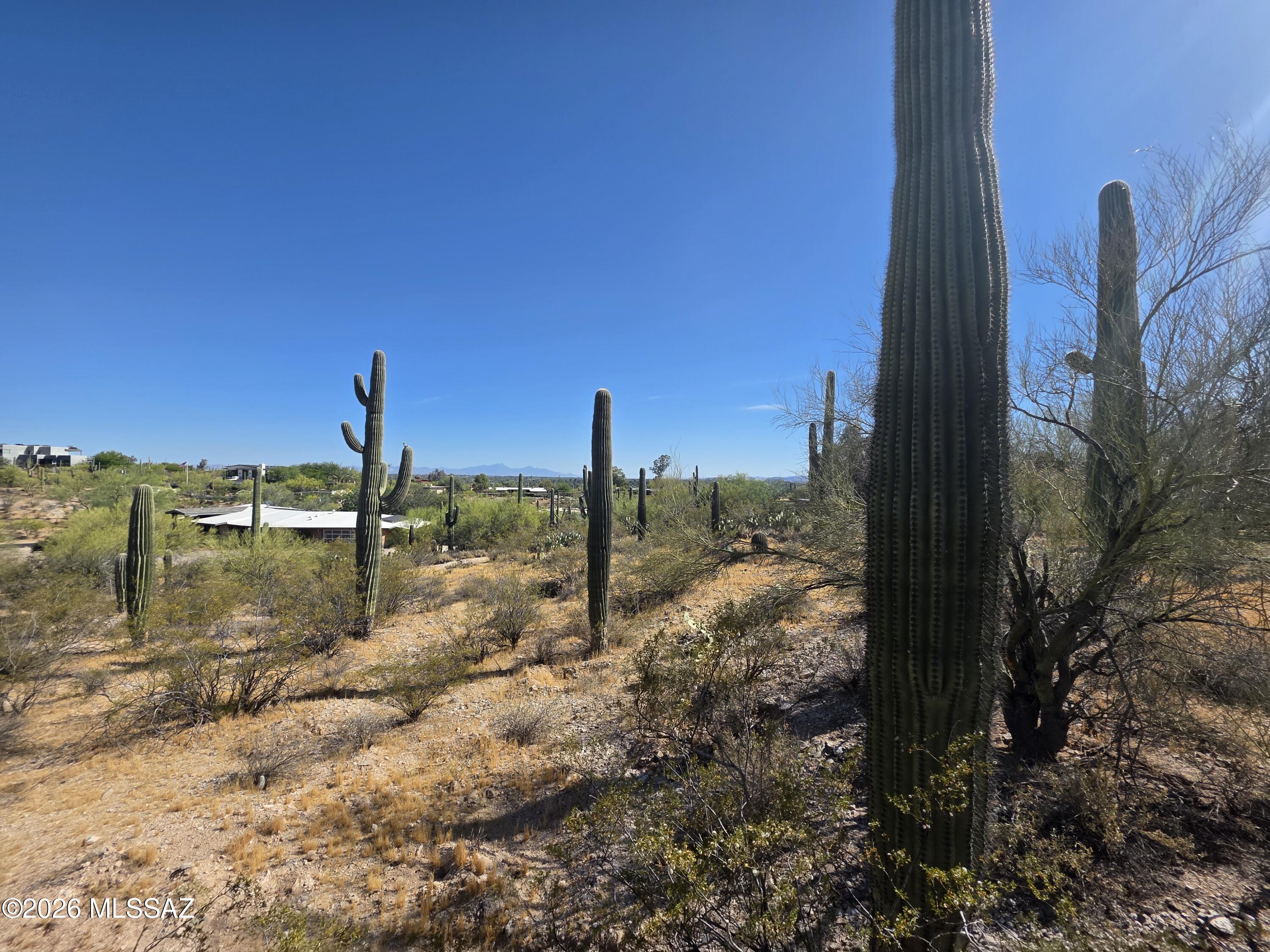 4675 N Camino Ocotillo 221