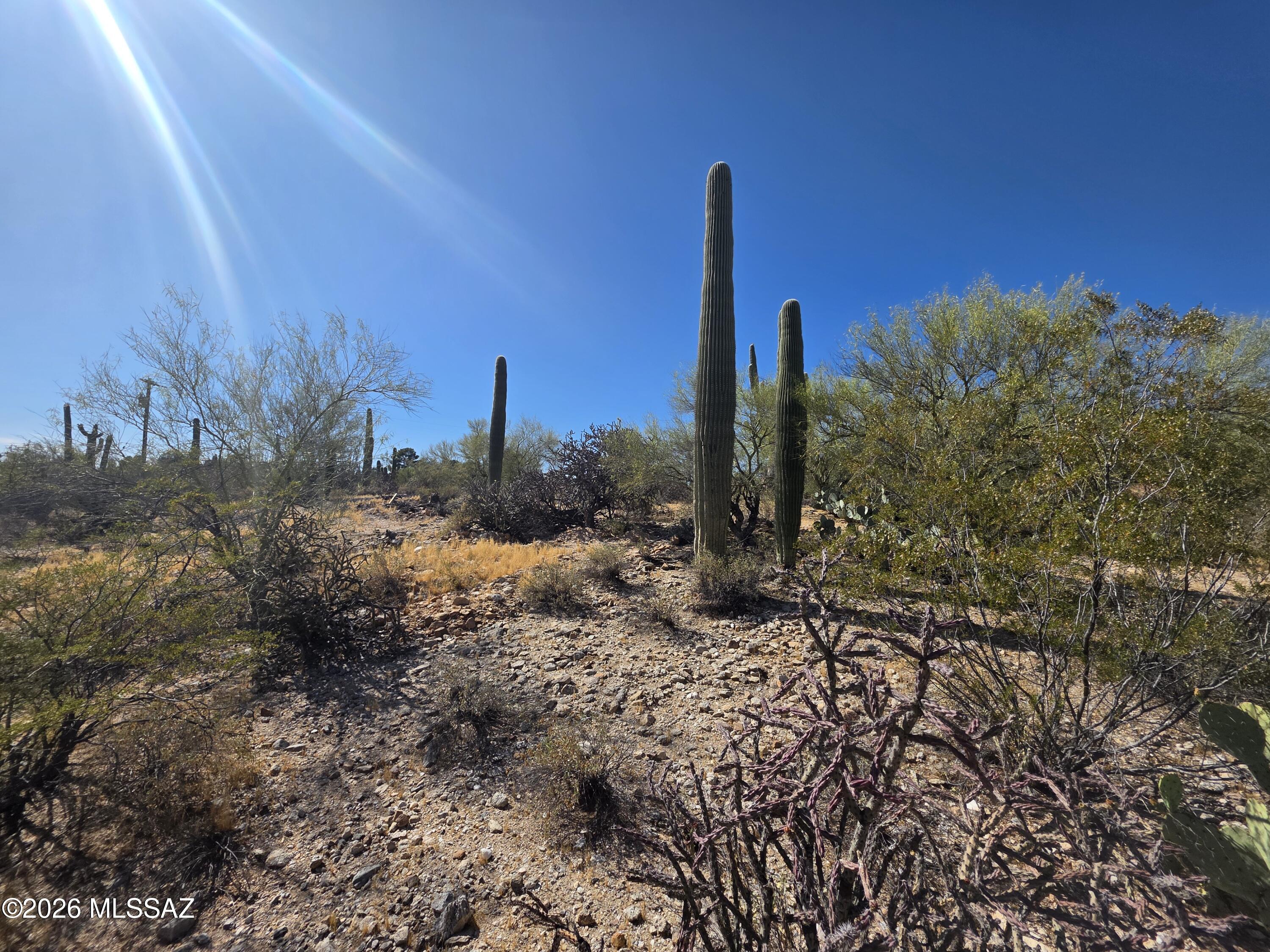 4675 N Camino Ocotillo 221
