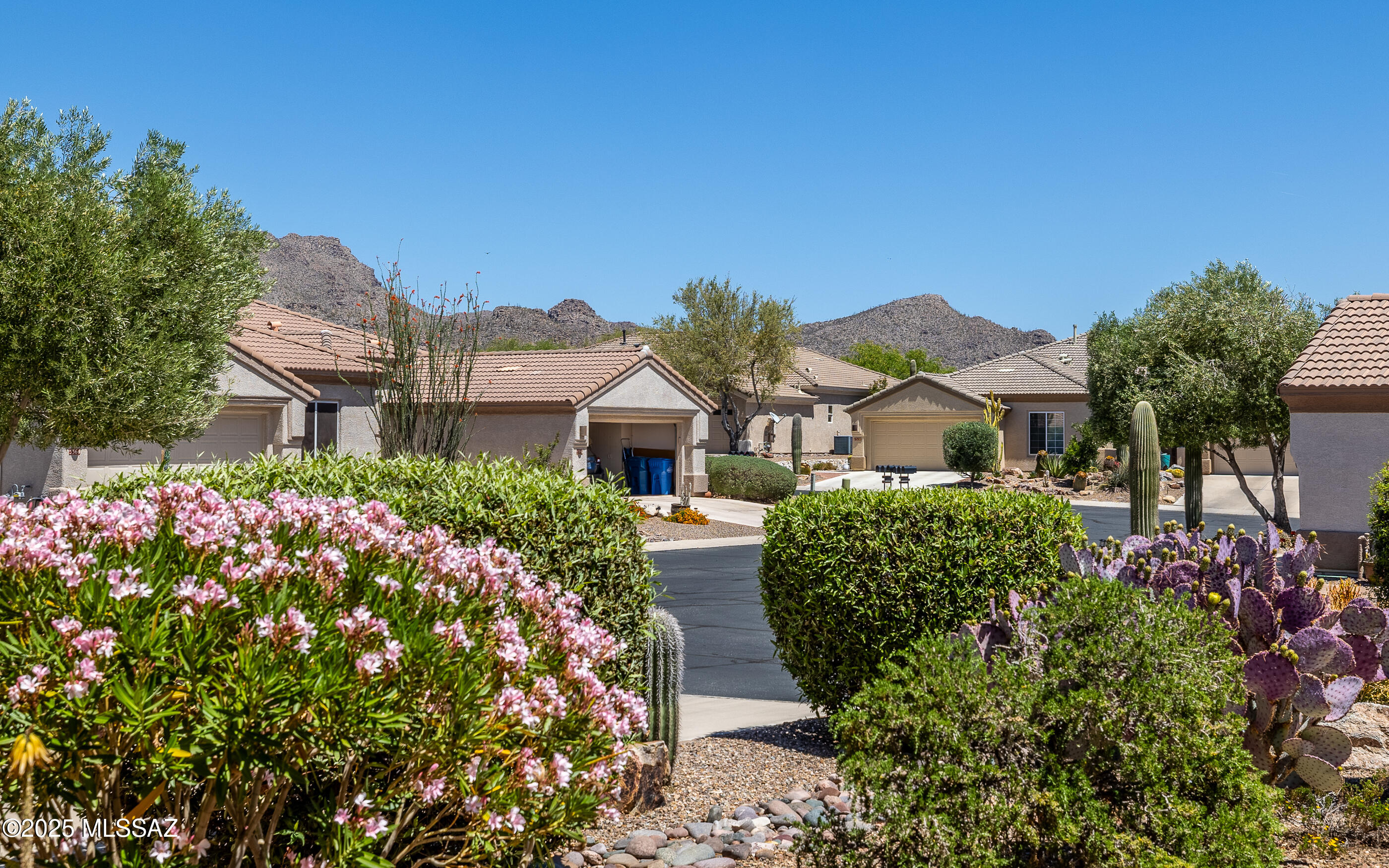 5379 W Tearblanket Place