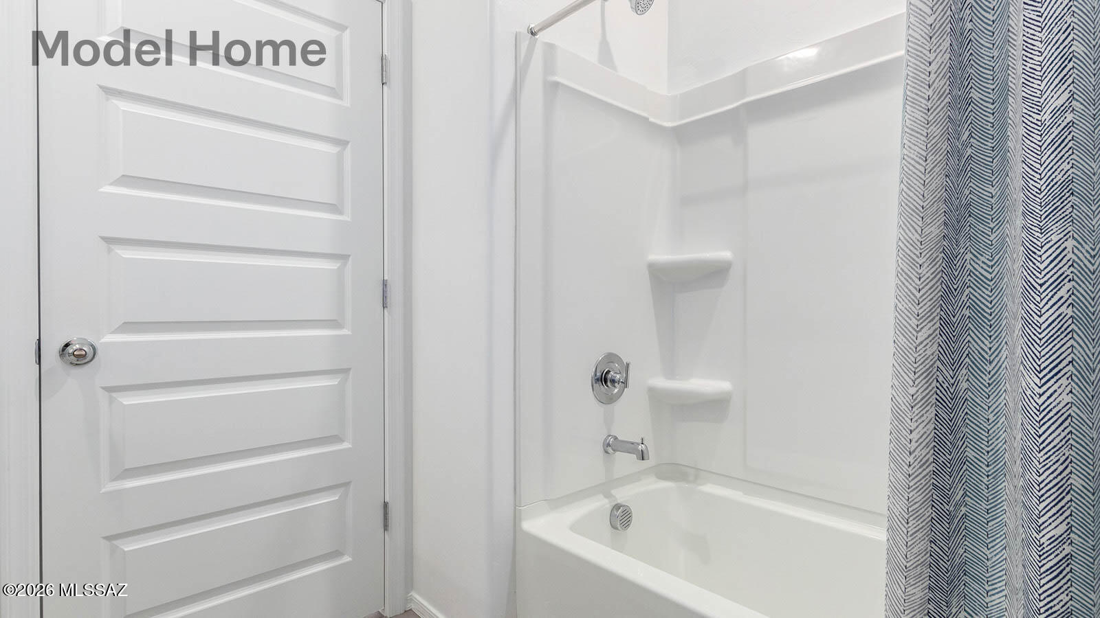 Saguaro Bloom SQ20180540069 - Residential