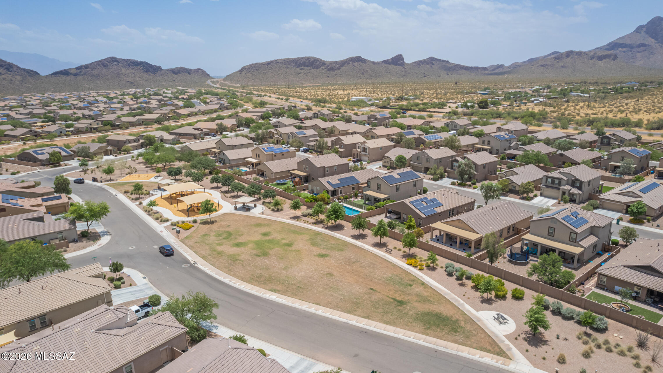 Saguaro Bloom SQ20180540069 - Residential