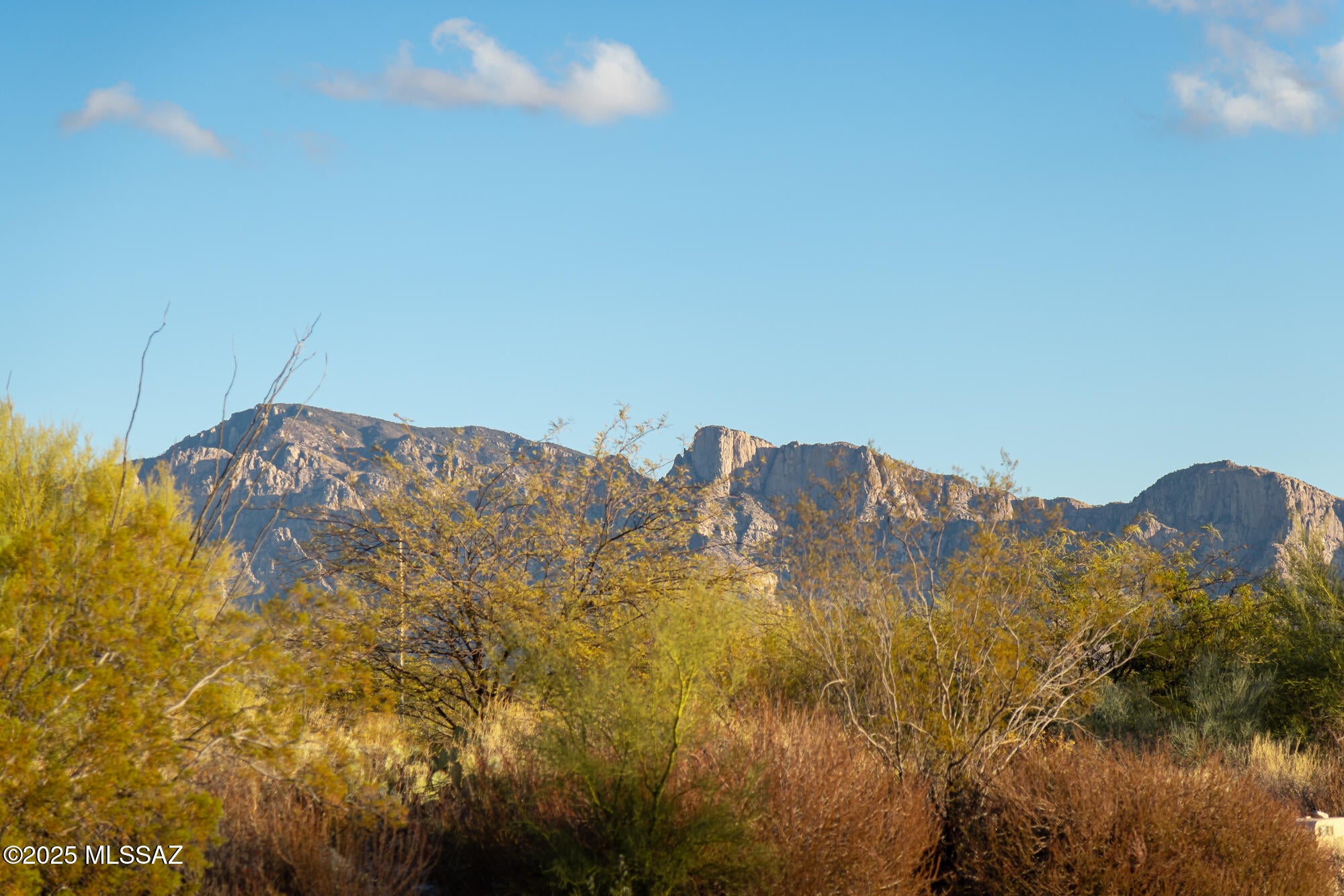 14191 N Giant Saguaro Place 23