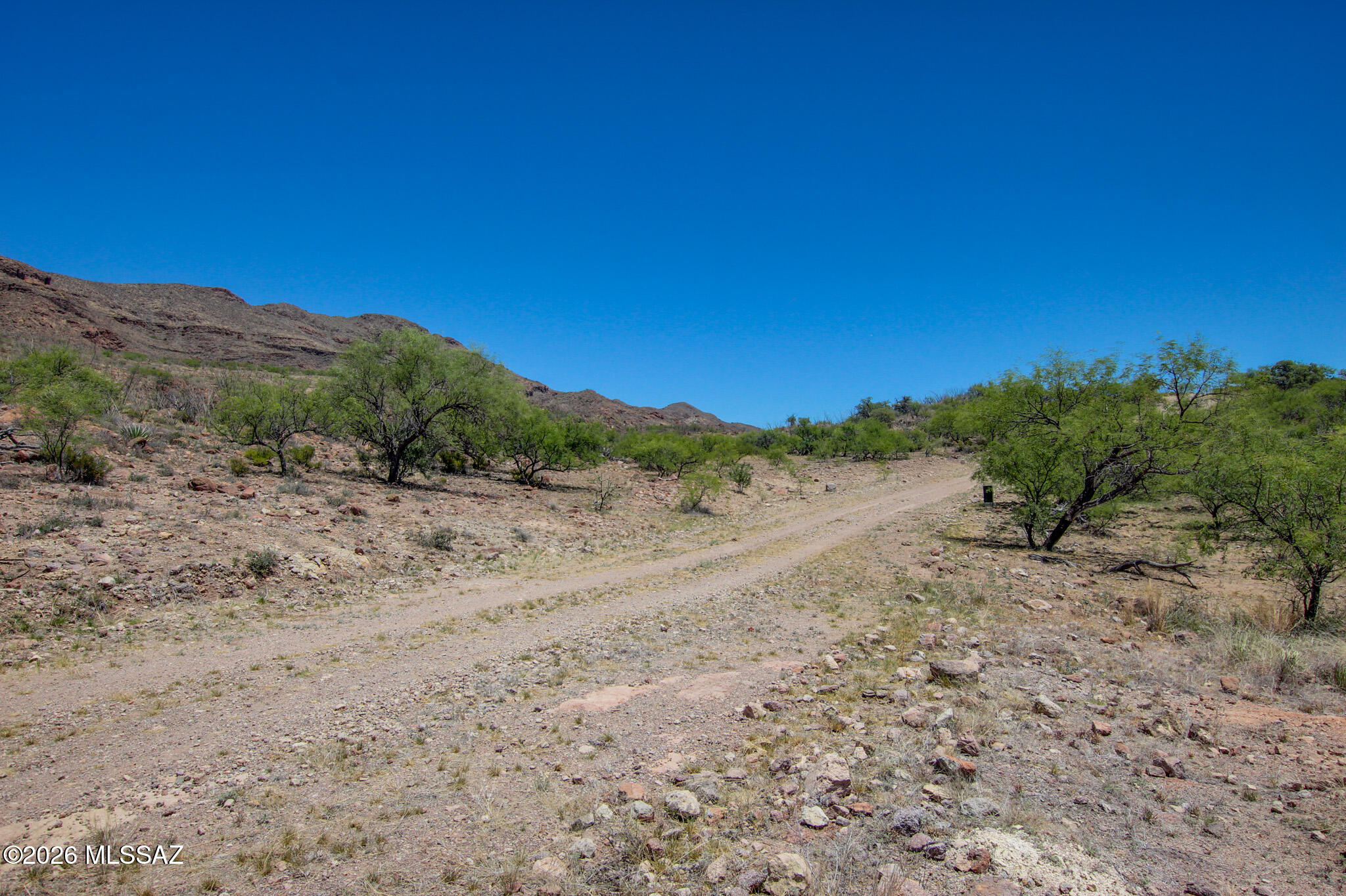Salero Ranch - Land