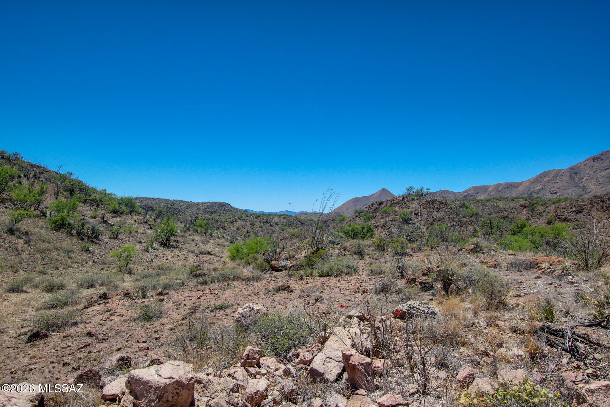 Salero Ranch - Land