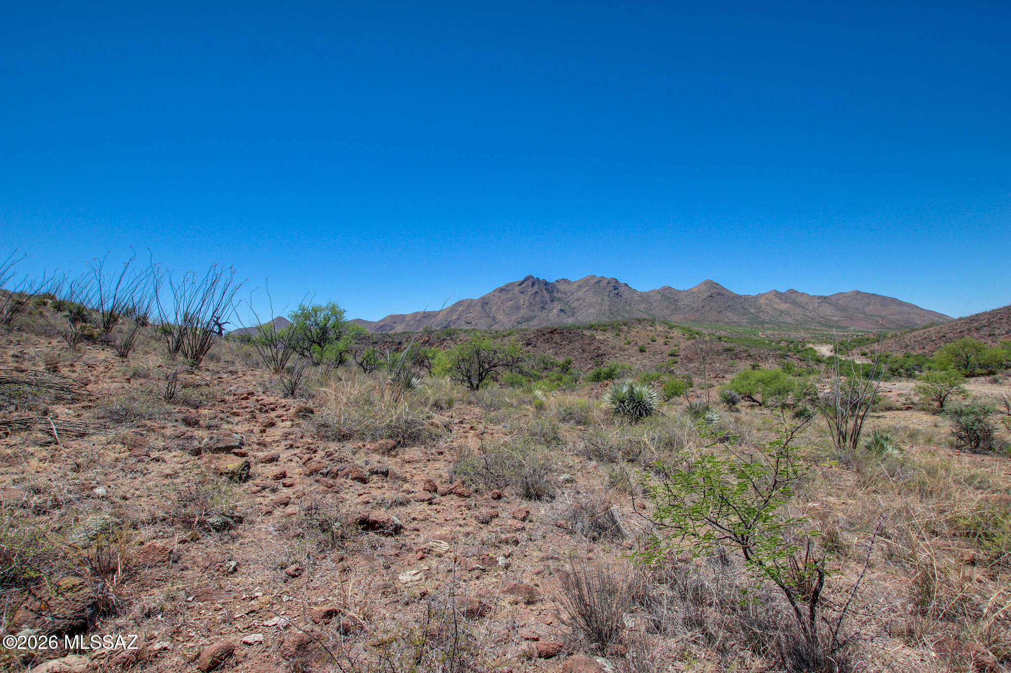 Salero Ranch - Land