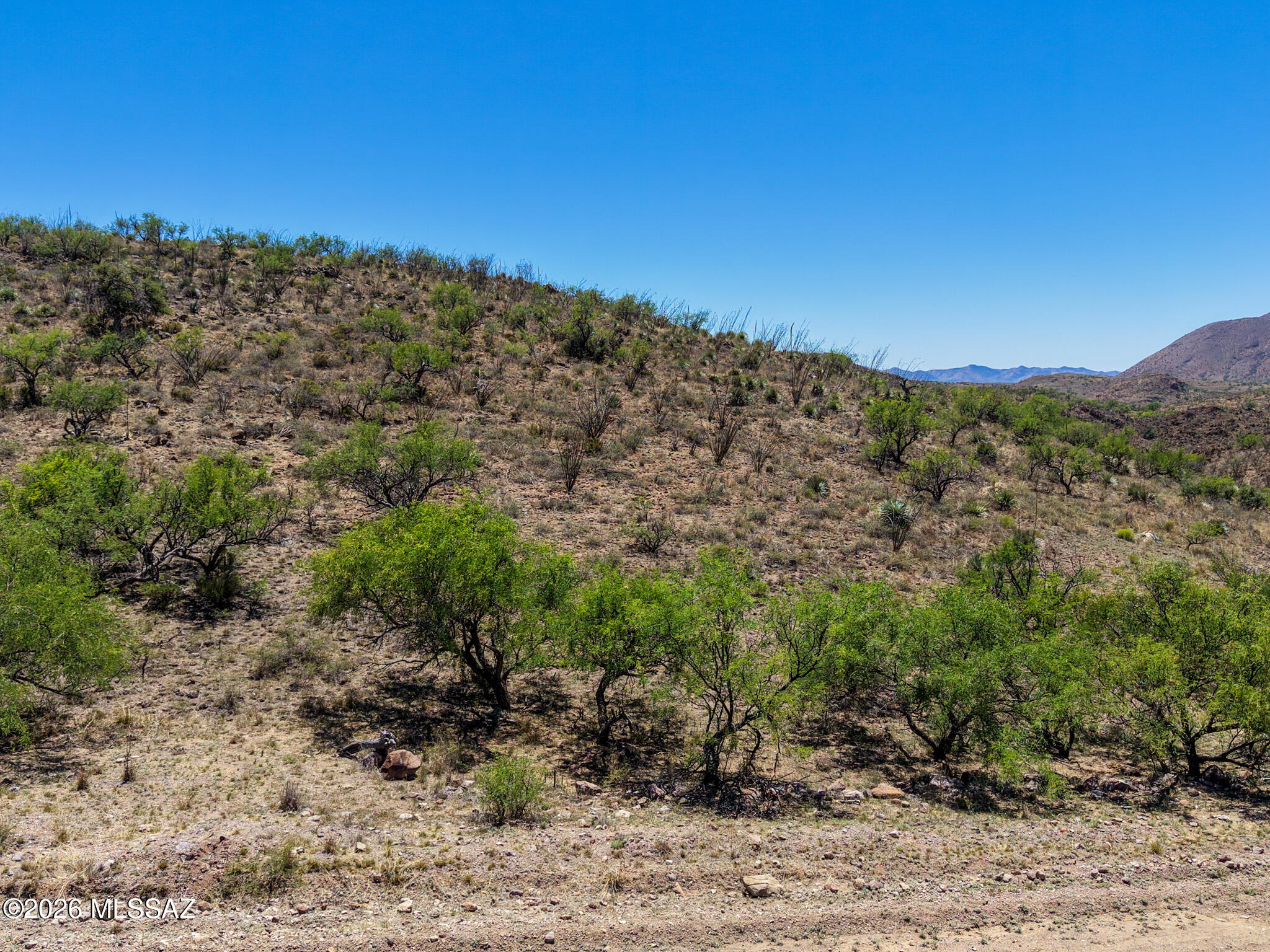 Salero Ranch - Land