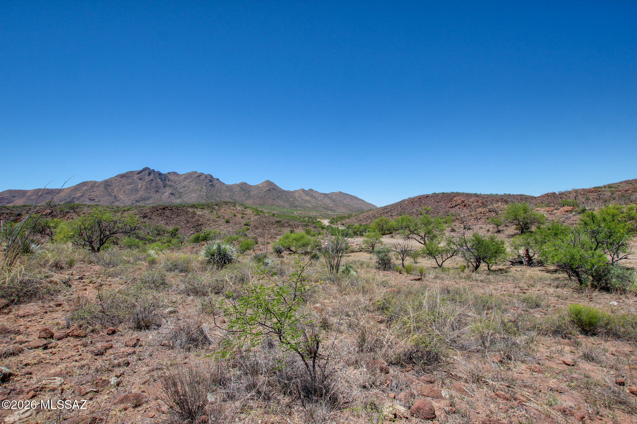 Salero Ranch - Land