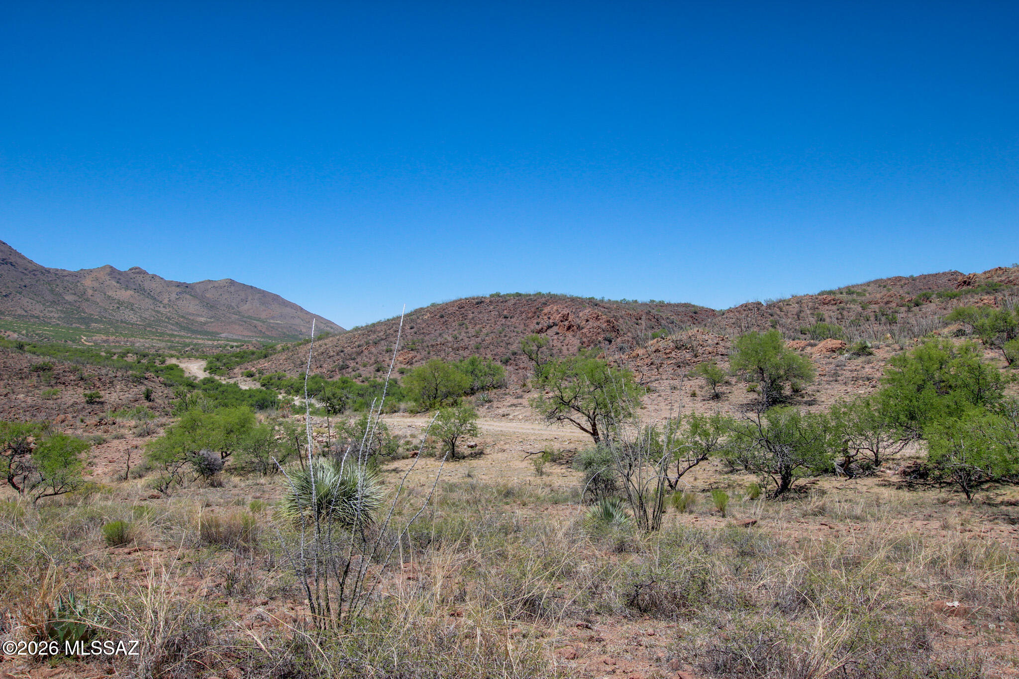 Salero Ranch - Land