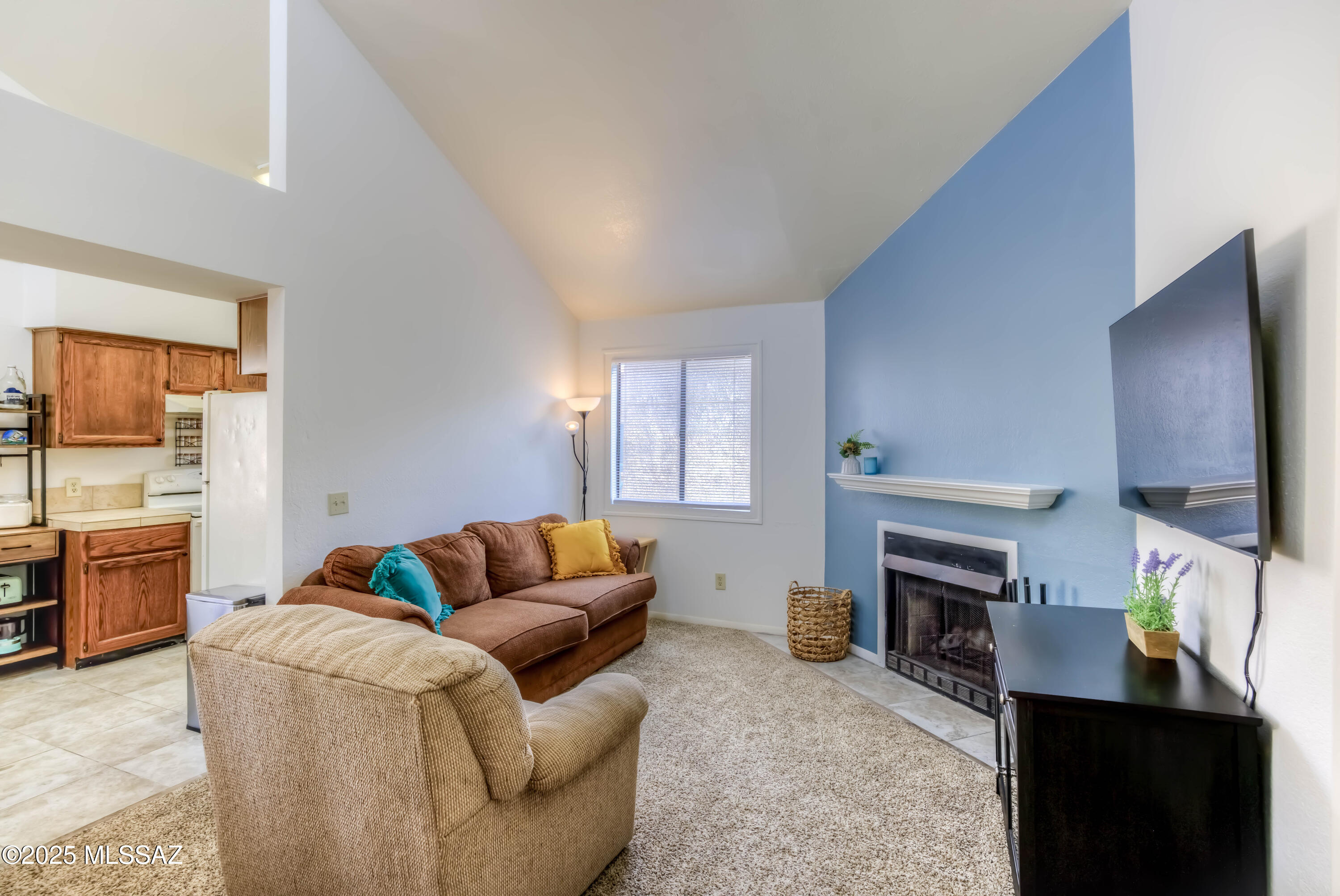Park Place Village Condos - Residential