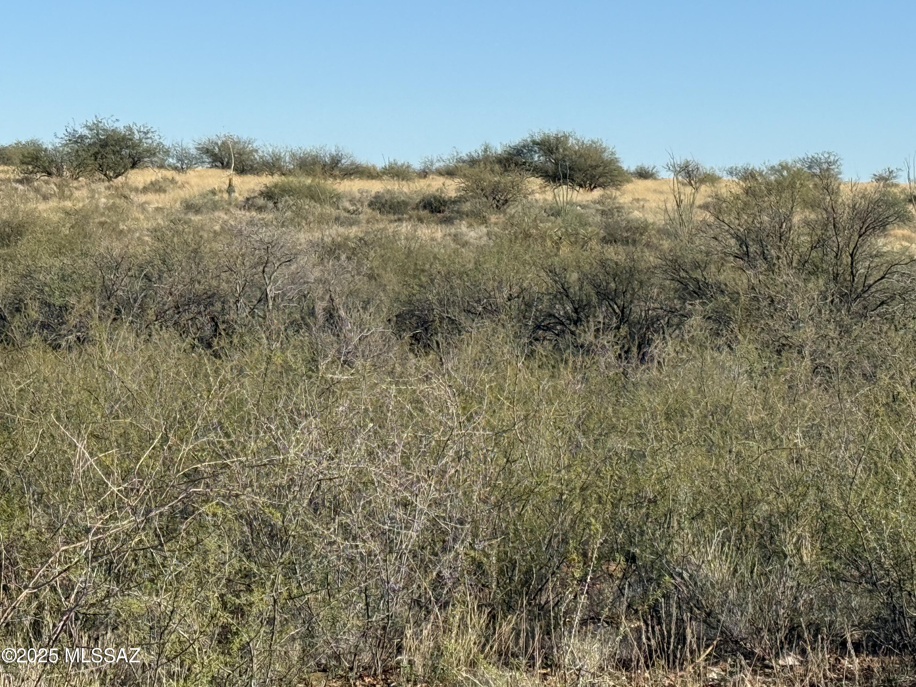 Dragoon Mountain Ranch - Land