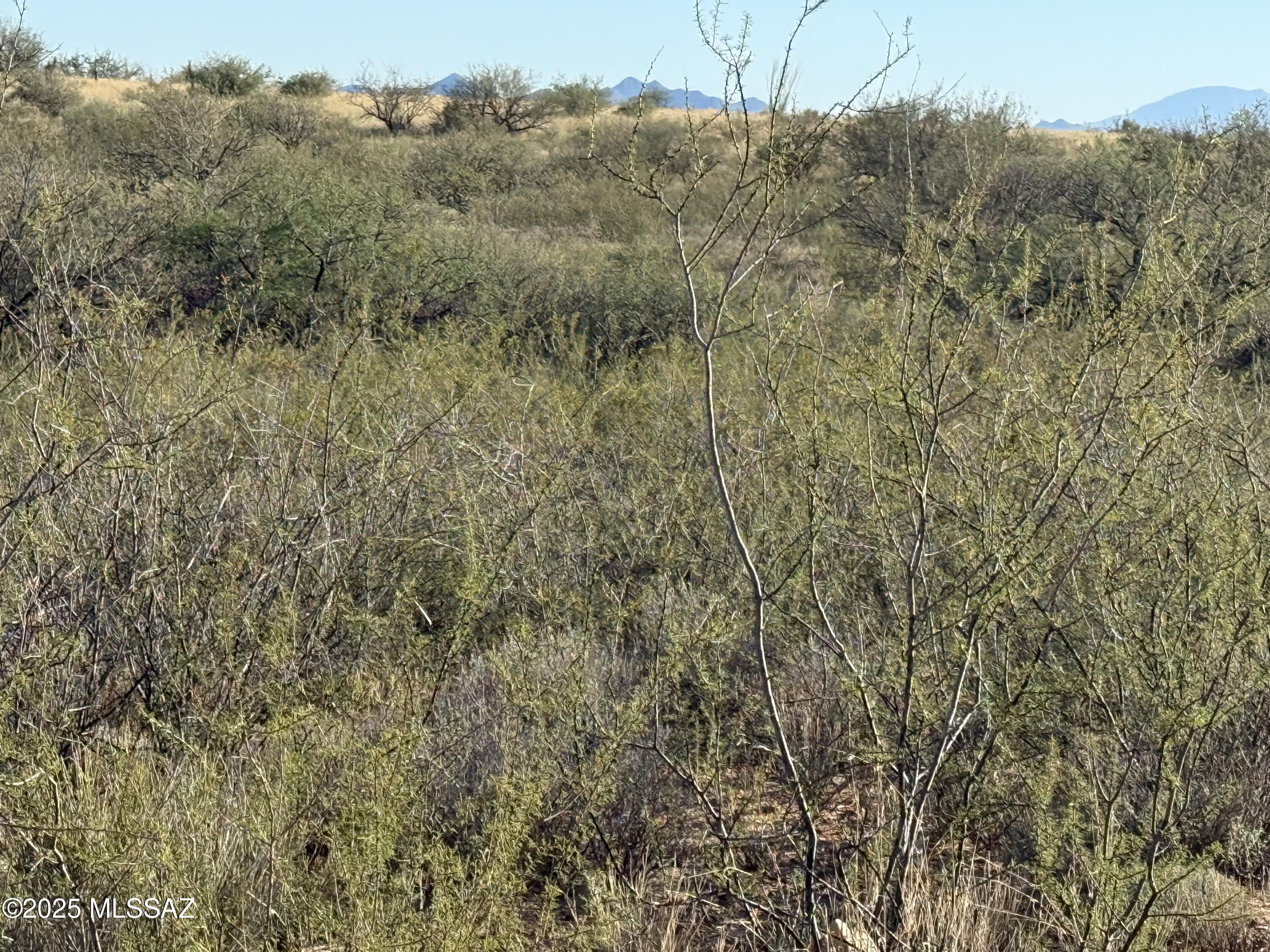 Dragoon Mountain Ranch - Land
