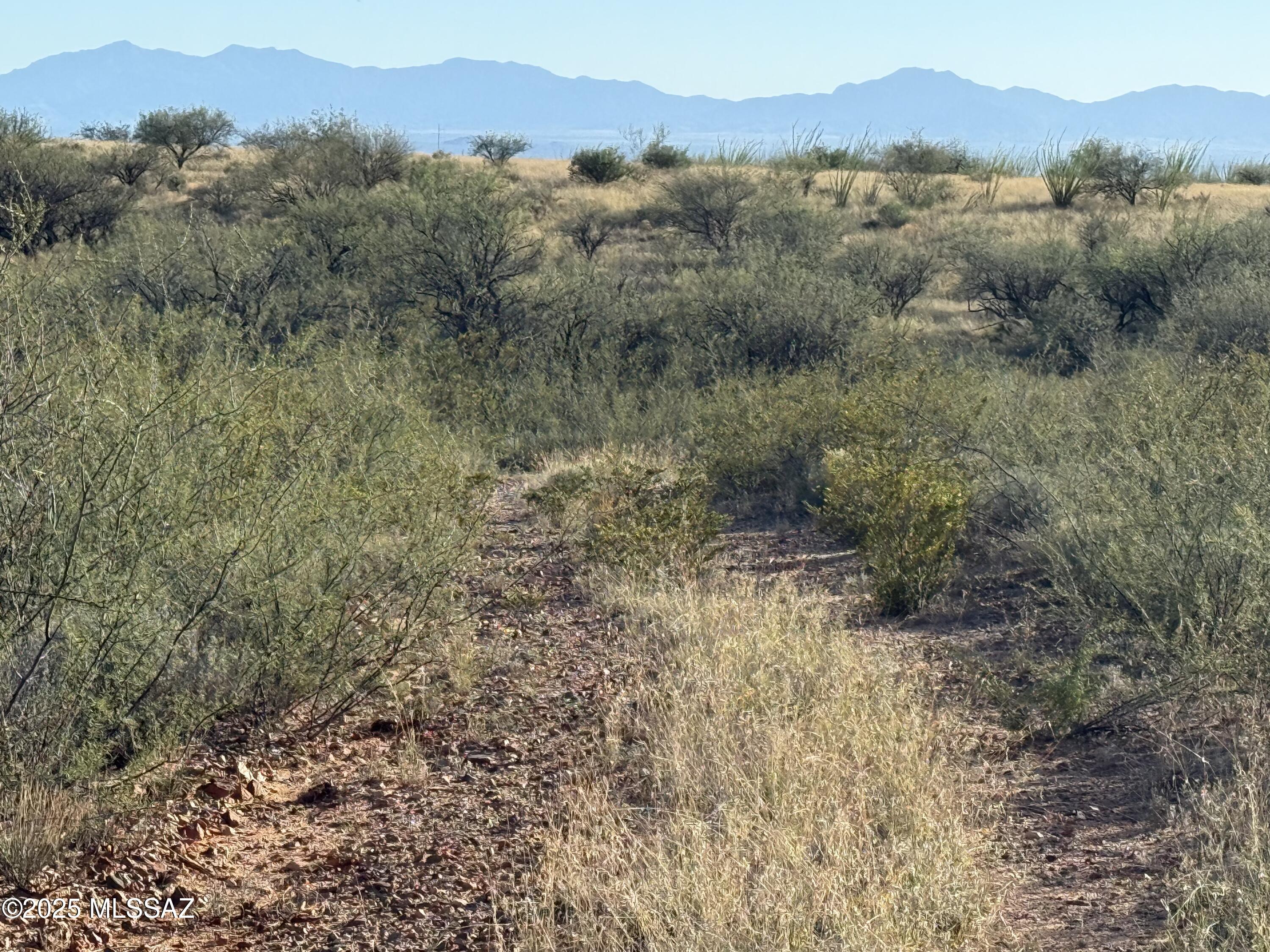 Dragoon Mountain Ranch - Land
