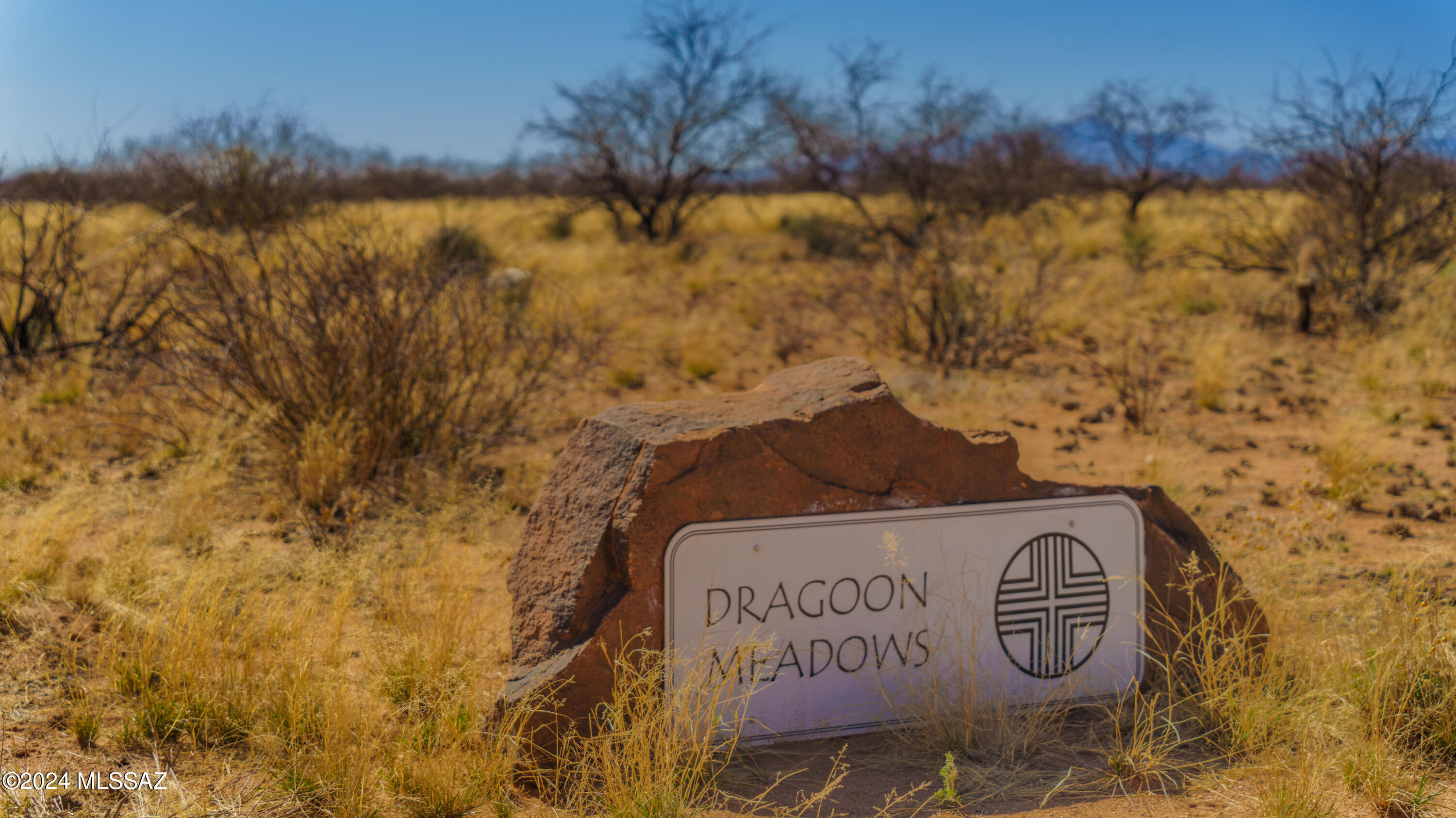 Dragoon Mountain Ranch - Land
