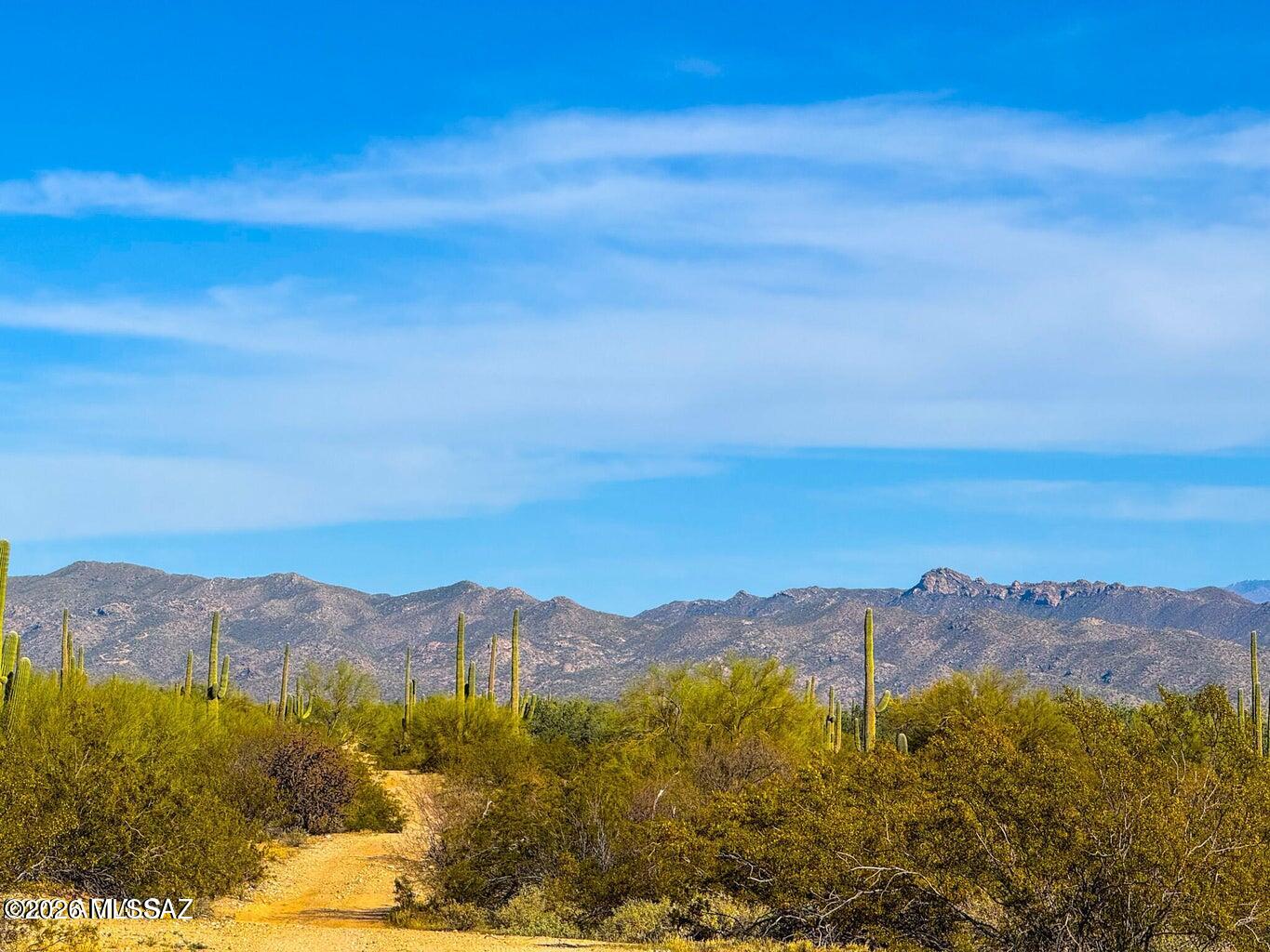 0 E Annadale Rd 5 Acres