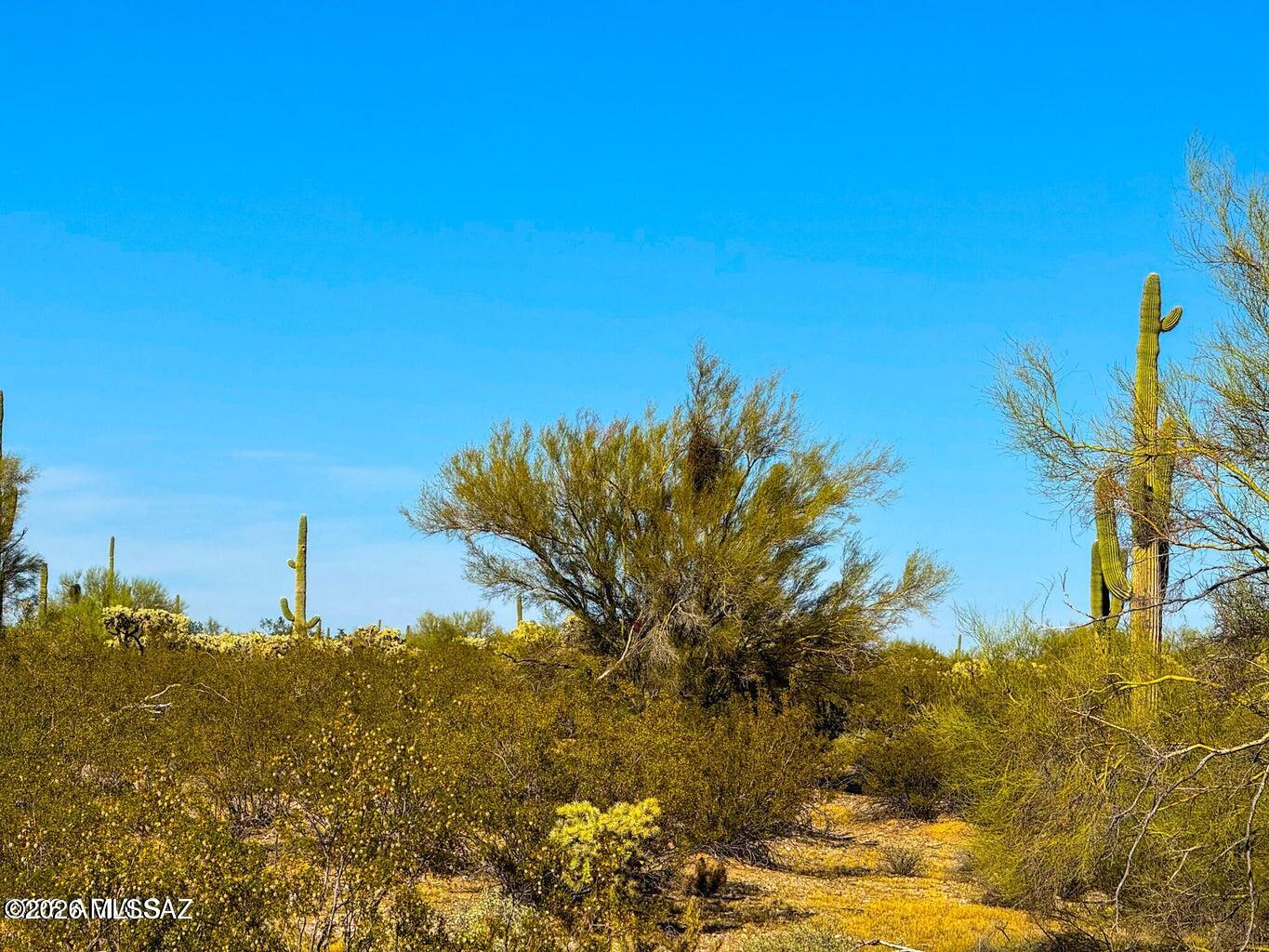 0 E Annadale Rd 5 Acres