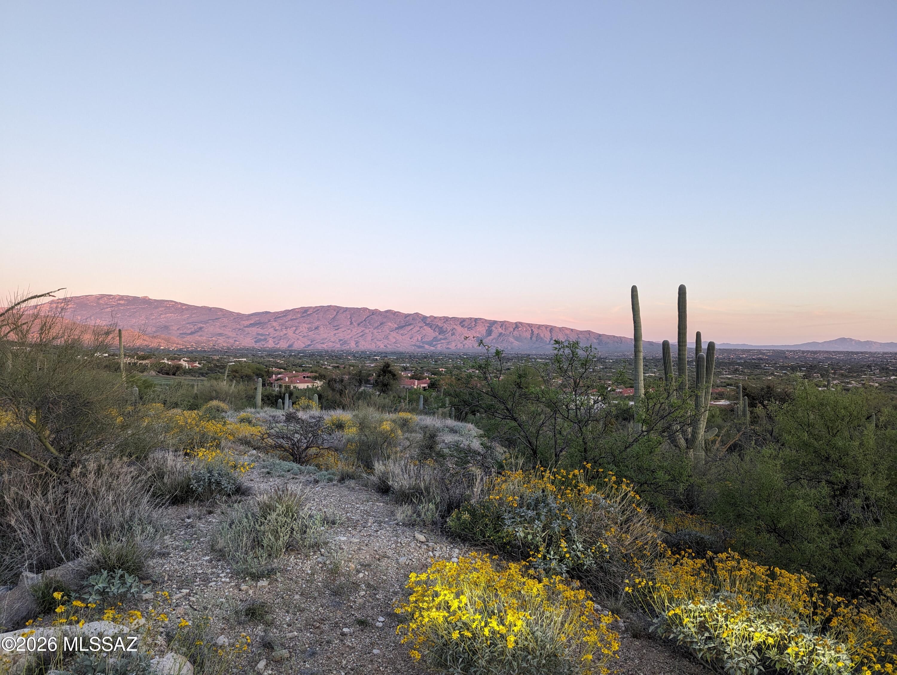 Sabino Estates (1-45) - Land