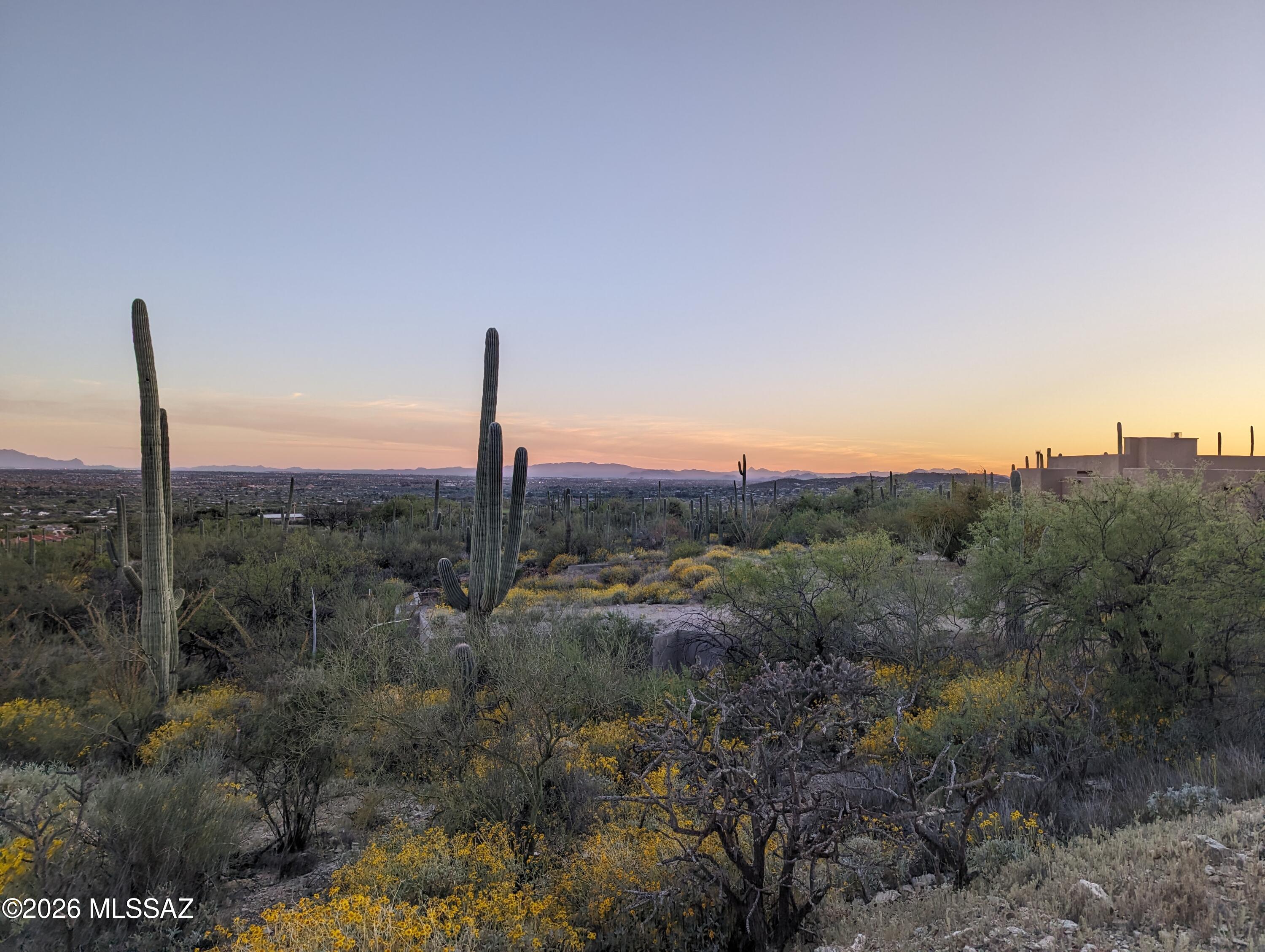 Sabino Estates (1-45) - Land