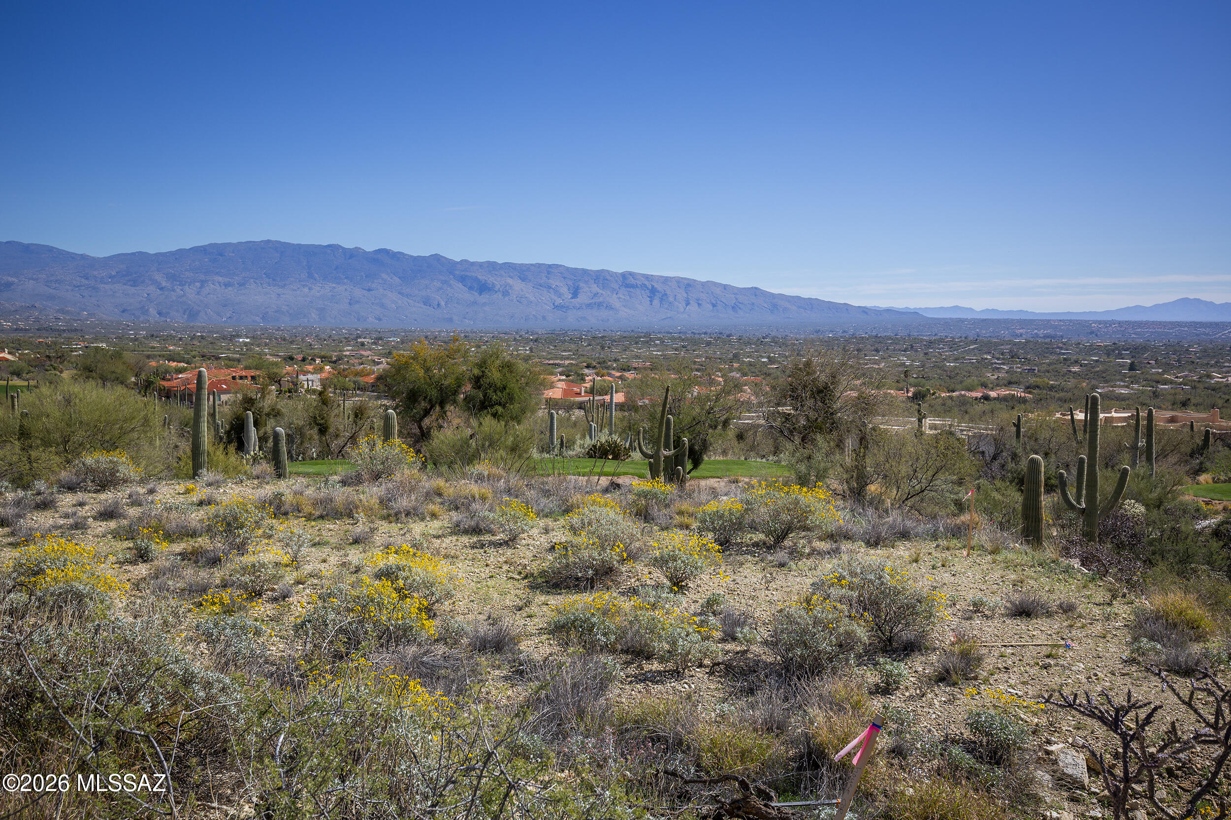 Sabino Estates (1-45) - Land