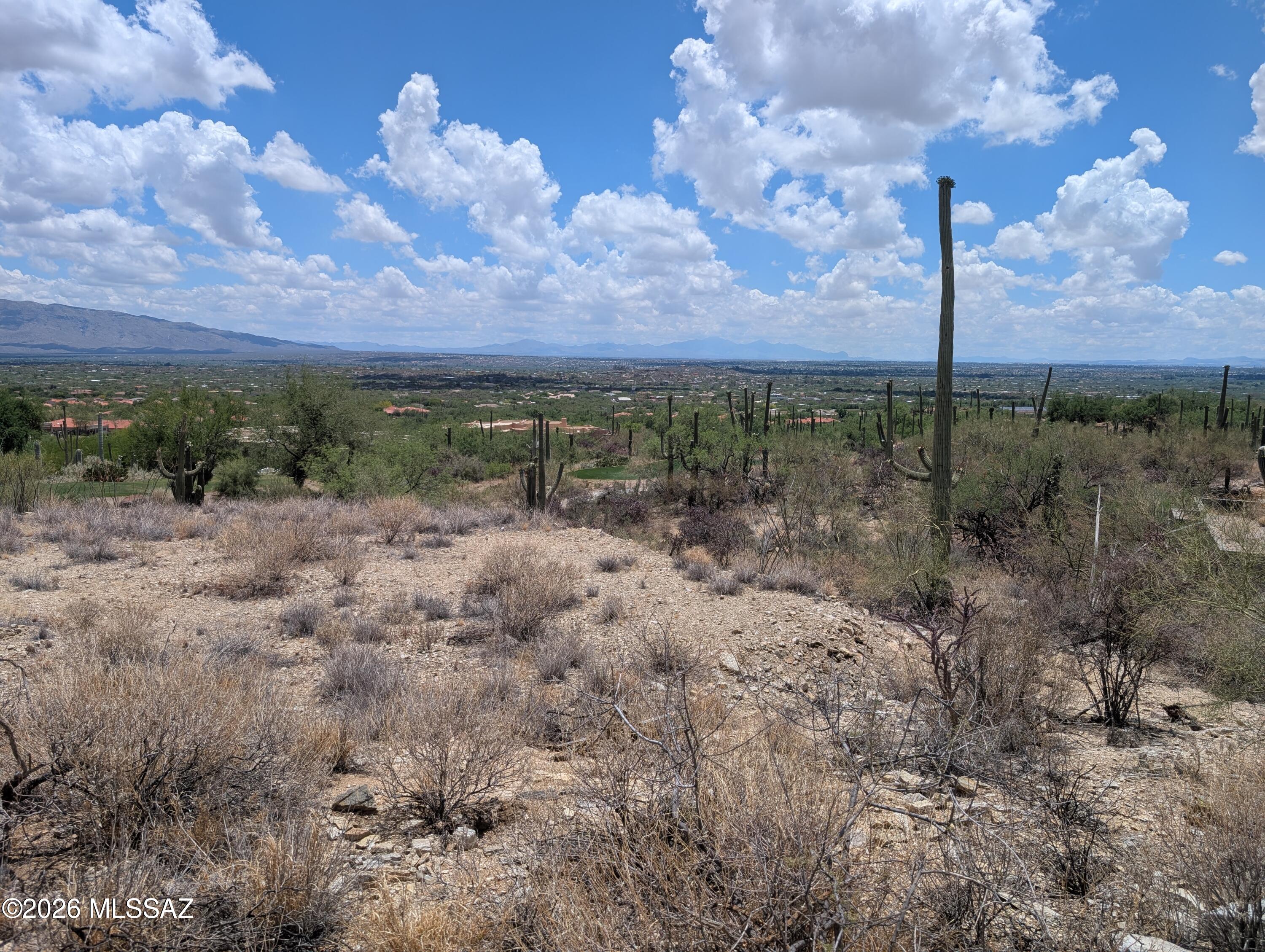 9930 E Sabino Estates Drive 25