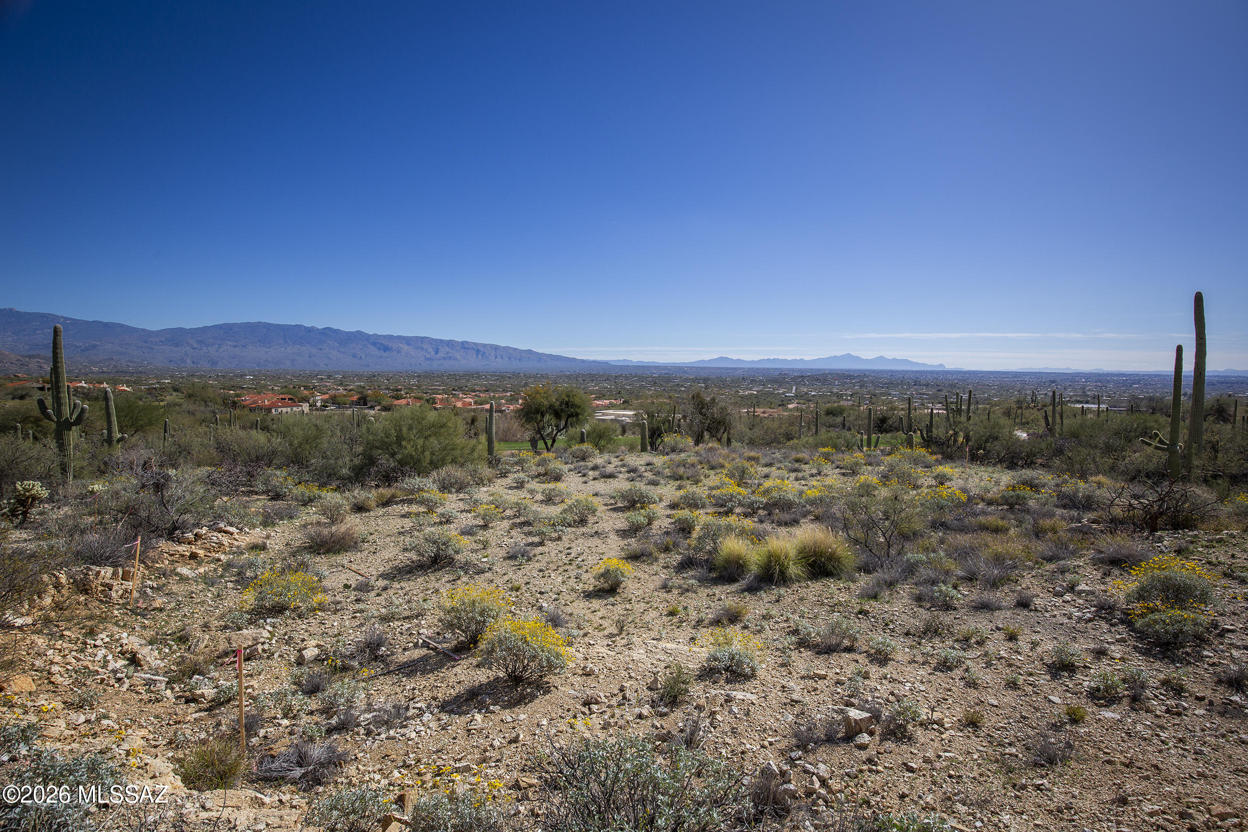 Sabino Estates (1-45) - Land